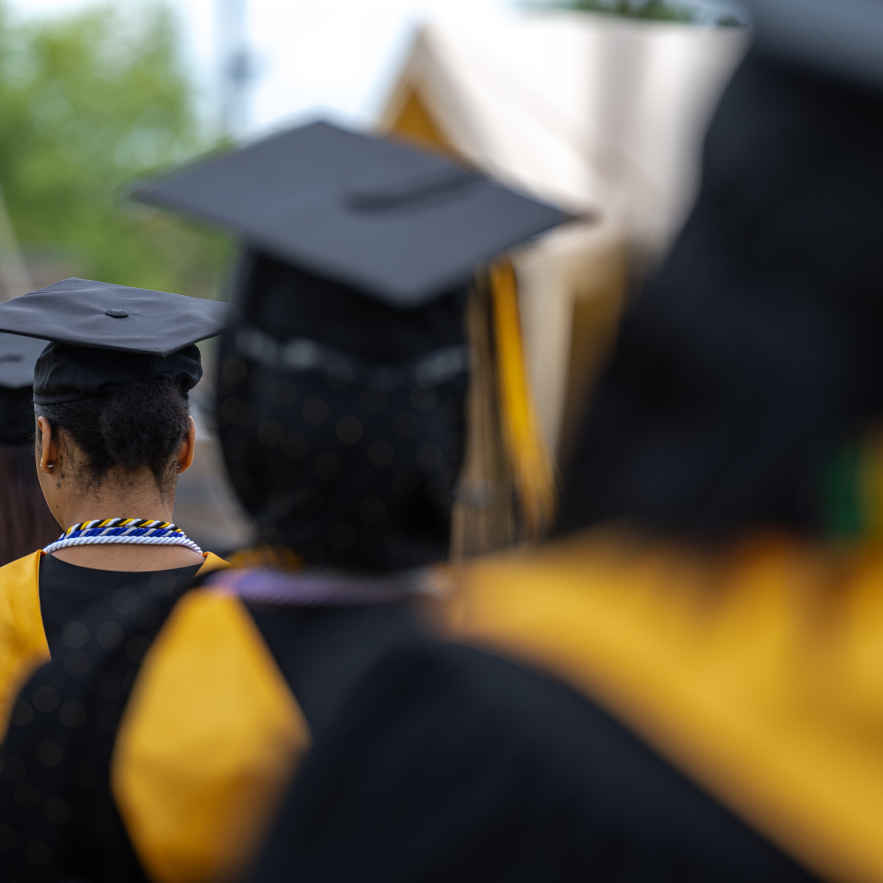 Report Projecting Drop in Freshman Enrollment Delivered Incorrect Findings