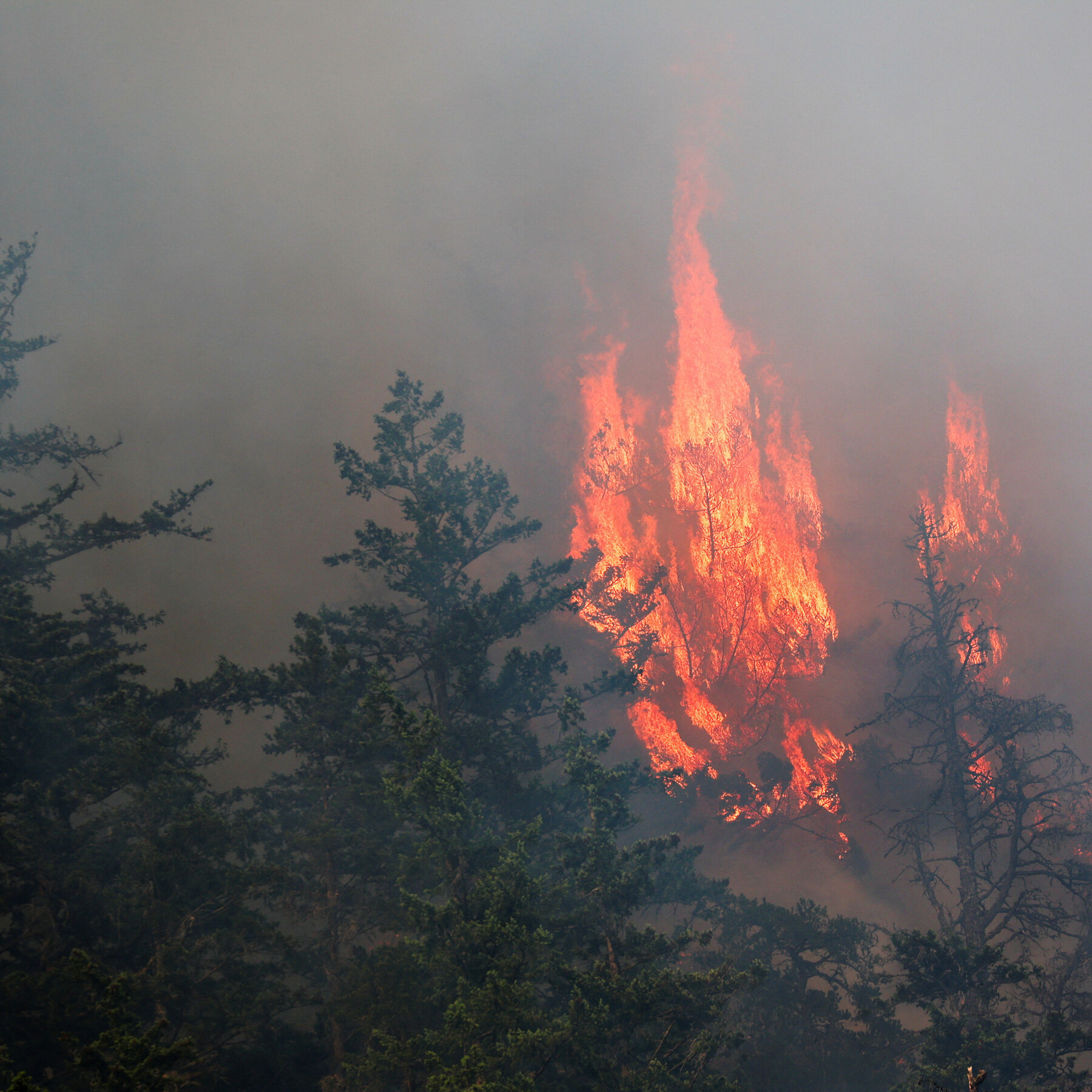 Republicans Blame Canada for Wildfire Smoke ‘Suffocating’ the U.S.