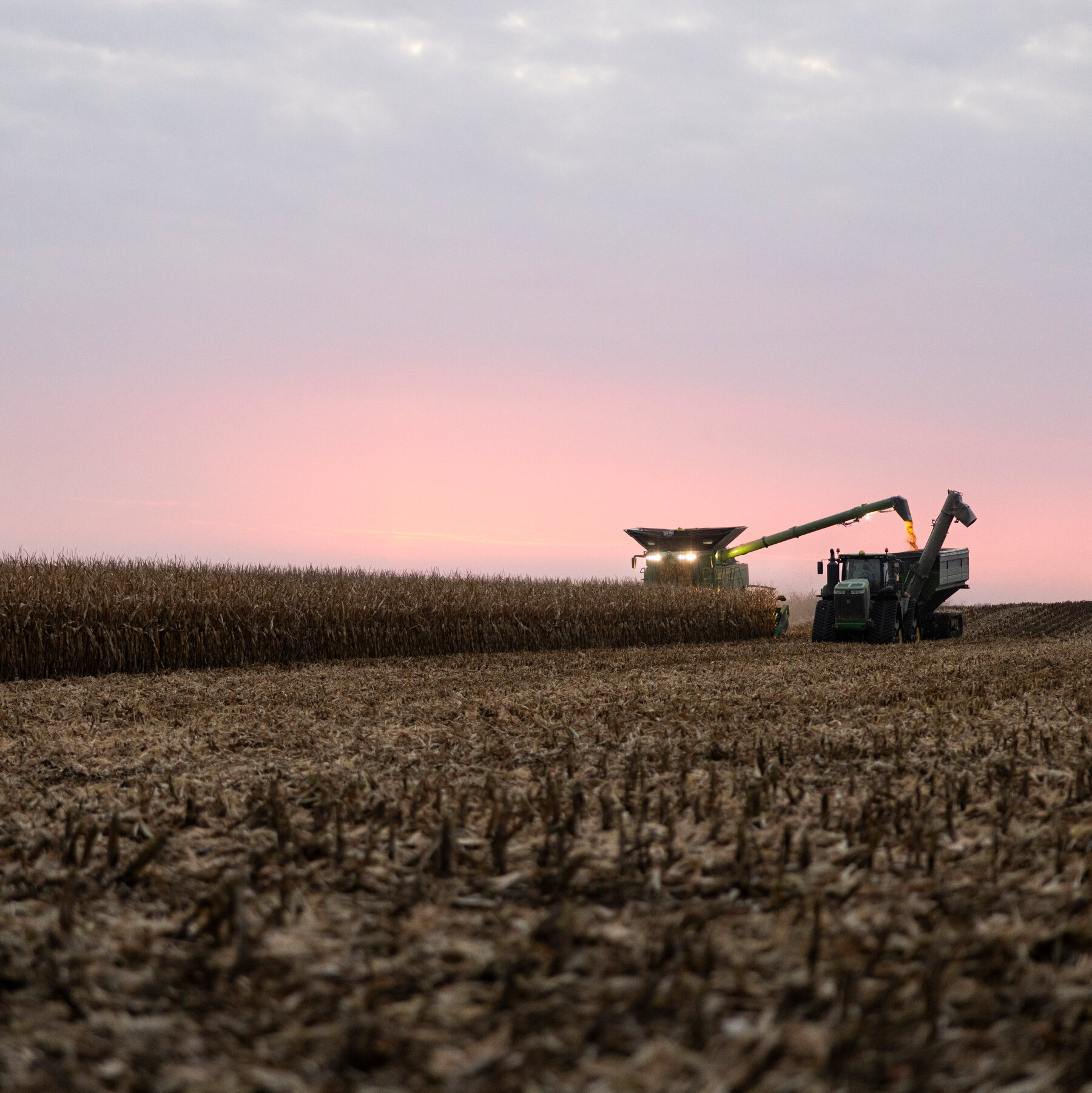 R.F.K. Jr. Has Unlikely Allies in His Drive to Limit Atrazine