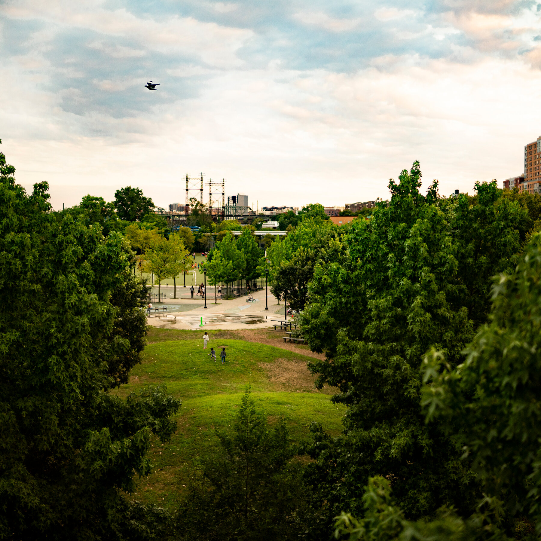 Robert Moses Tore the South Bronx in Half. Is It About to Happen Again?