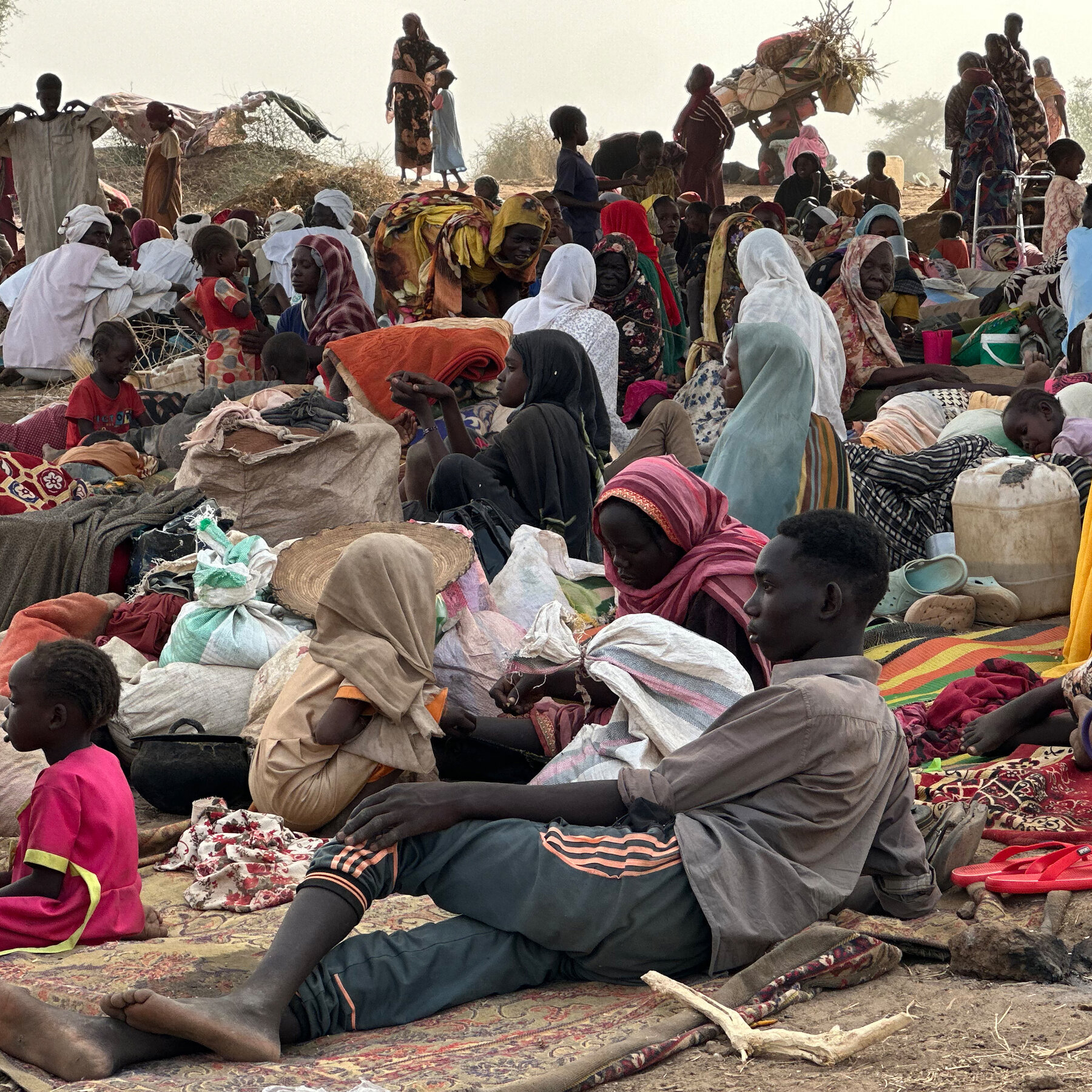R.S.F. in Sudan Declare Parallel Government Amid Assault on Zamzam Camp