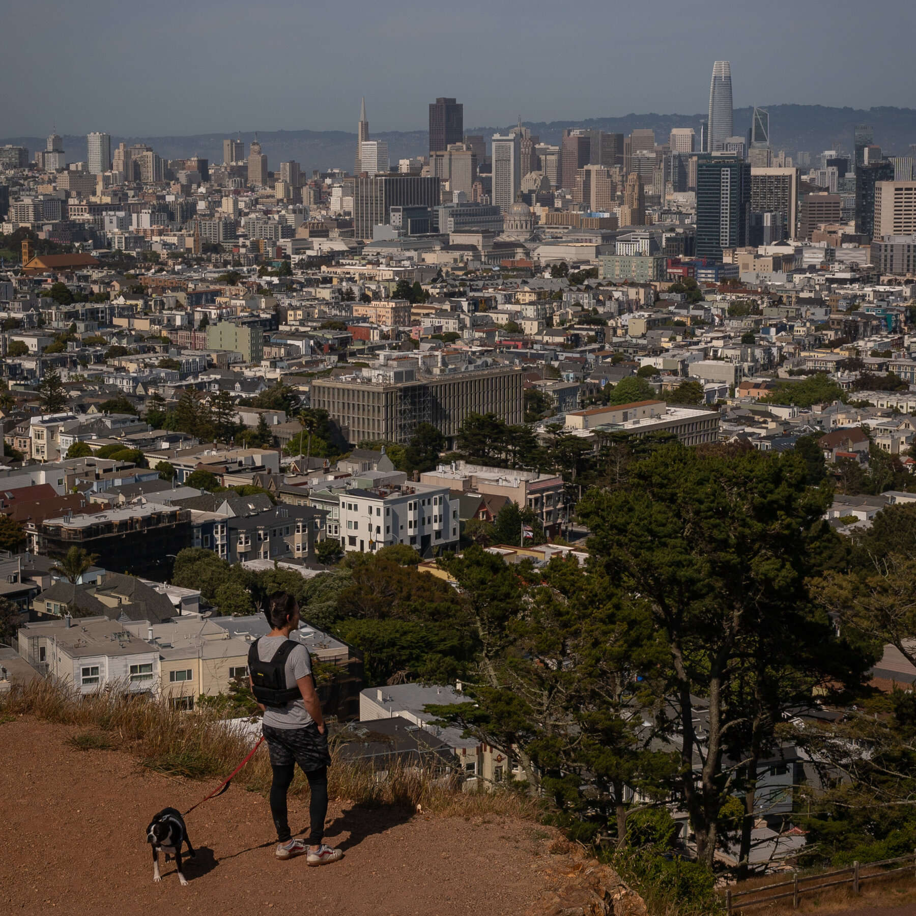 San Francisco Had Avoided Trump’s Ire. Until Now.