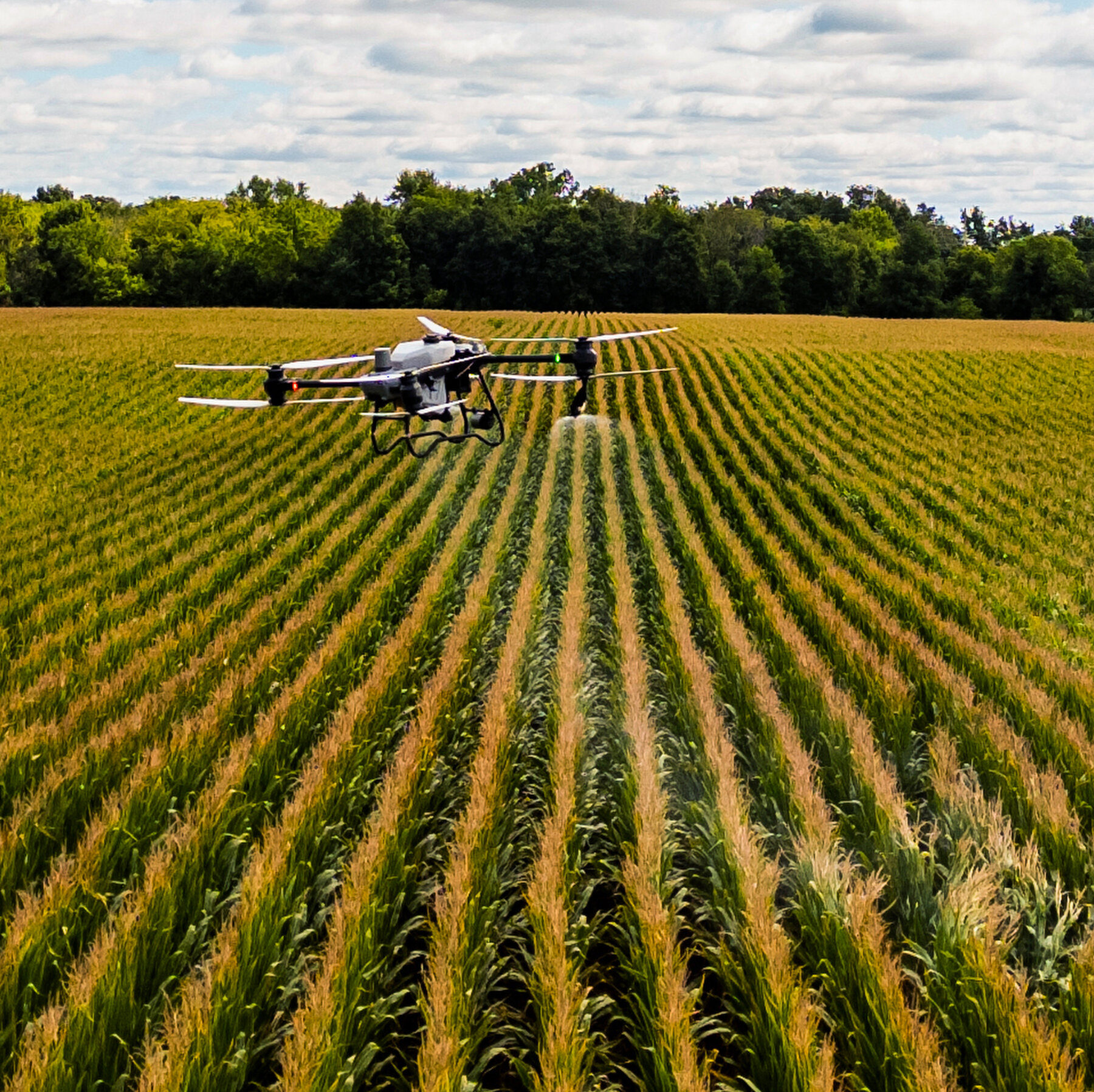 Satellites and Drones Are Unlocking Benefits ‘Hidden in Plain Sight’ in Michigan