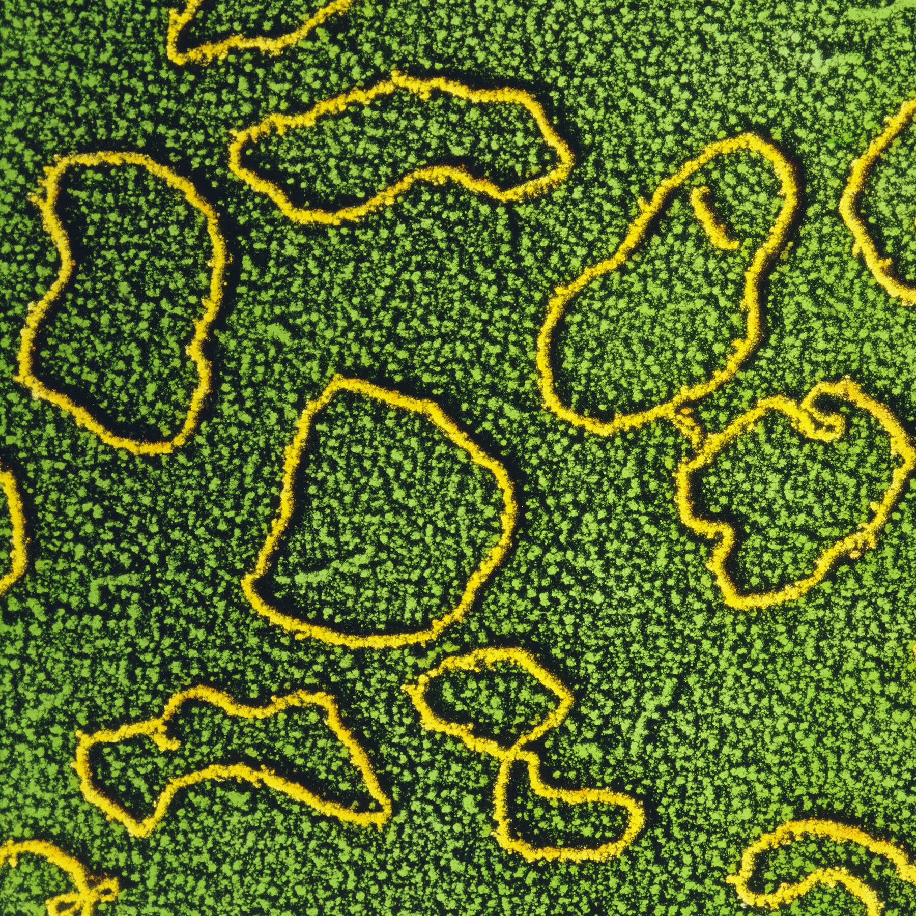 Scientists are Learning to Rewrite the Code of Life