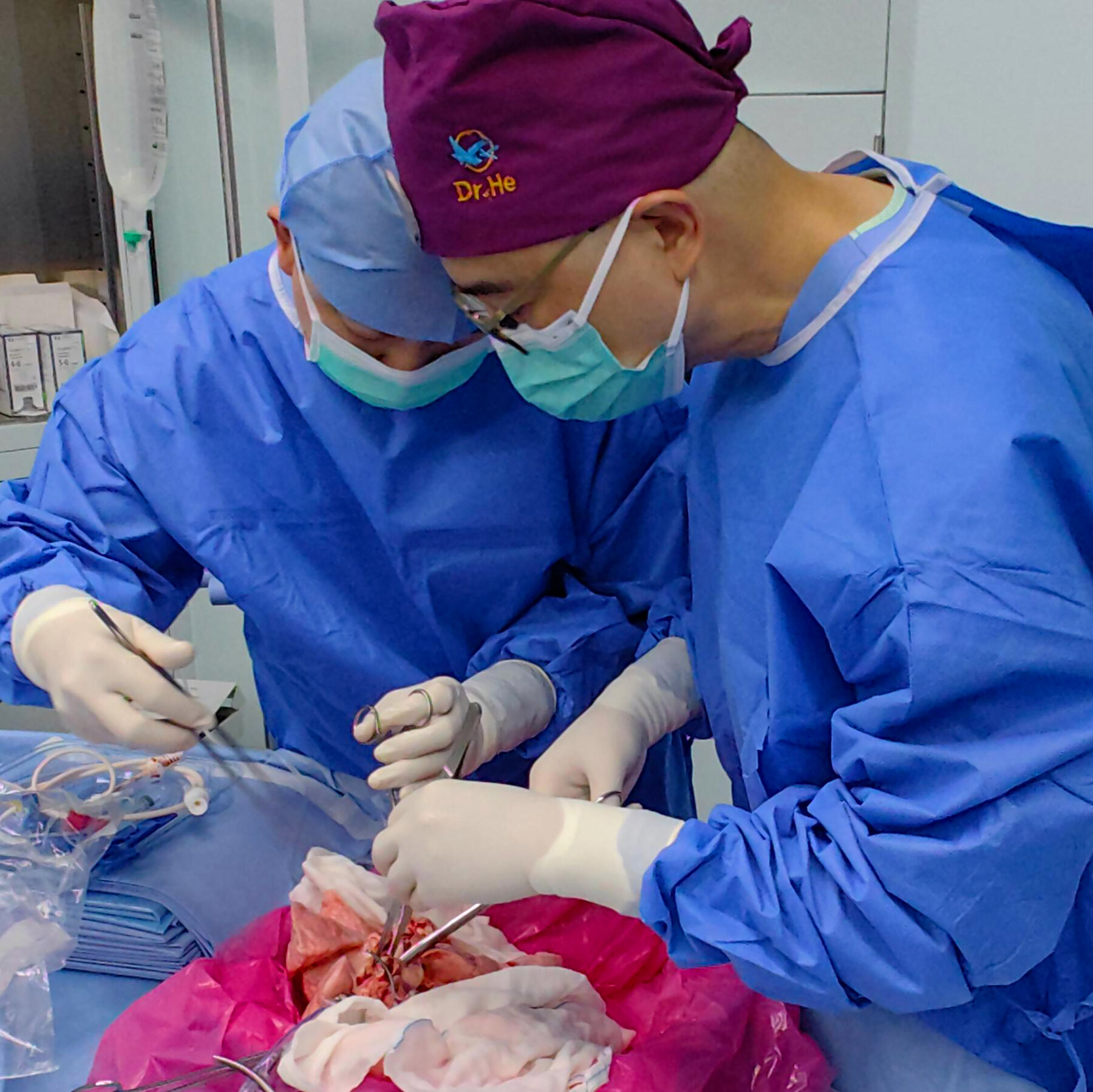 Scientists Perform First Pig-to-Human Lung Transplant