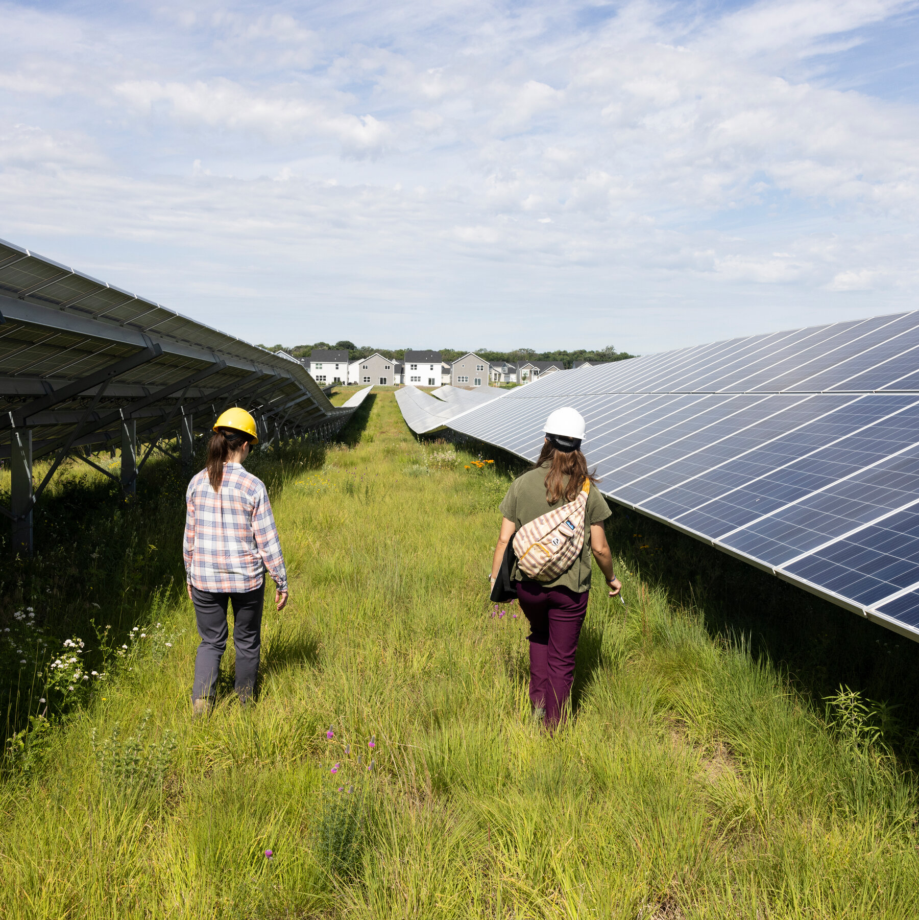 Senate Proposal Ends Tax Cuts for Clean Energy, Disappointing Climate Advocates