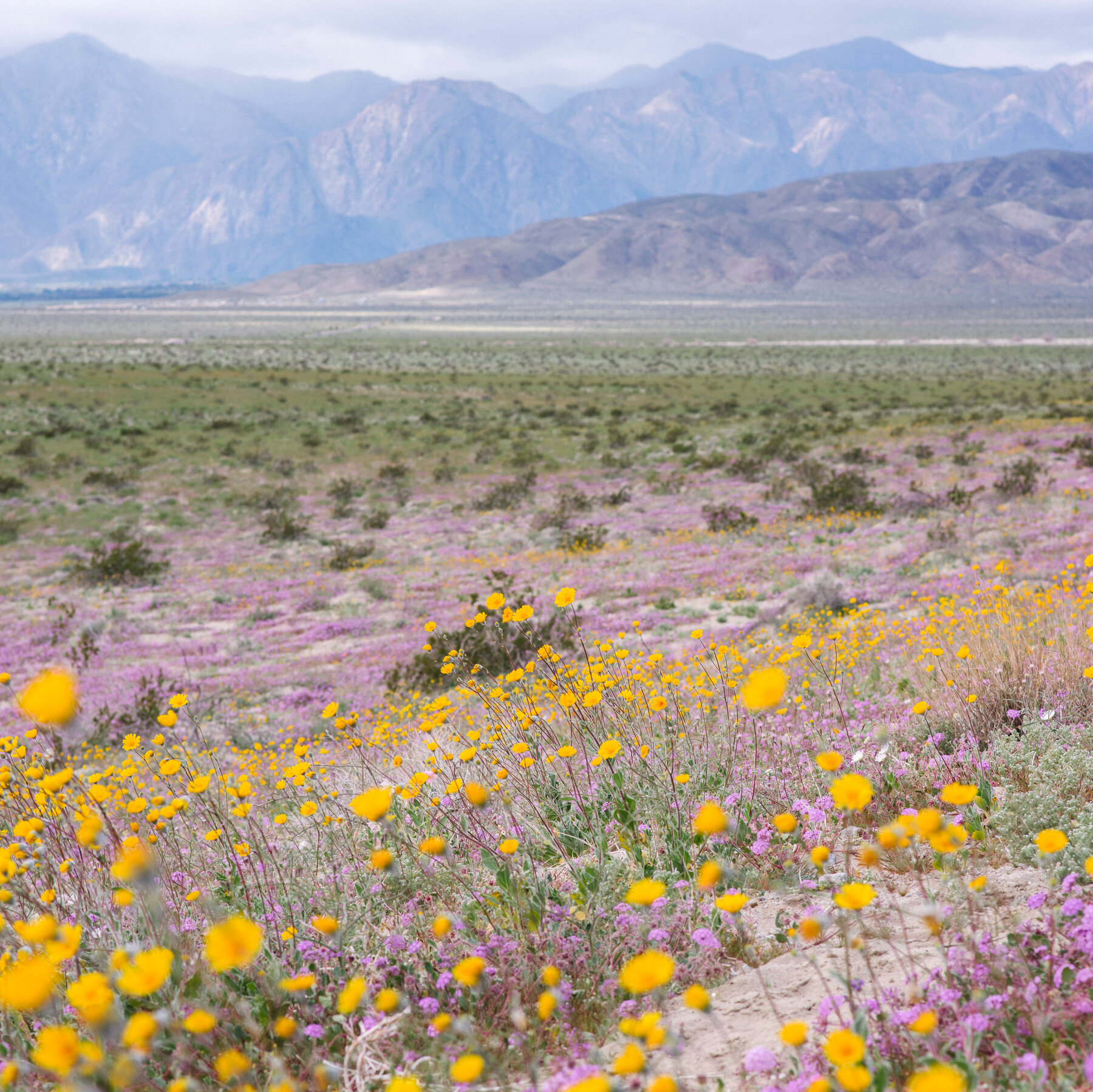 Seven of the Best State Parks in the U.S., According to New York Times Readers