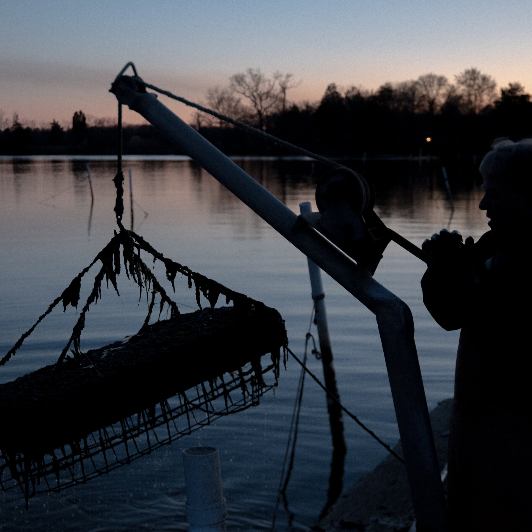 Sewage Sludge Fertilizer From Maryland? Virginians Say No Thanks.