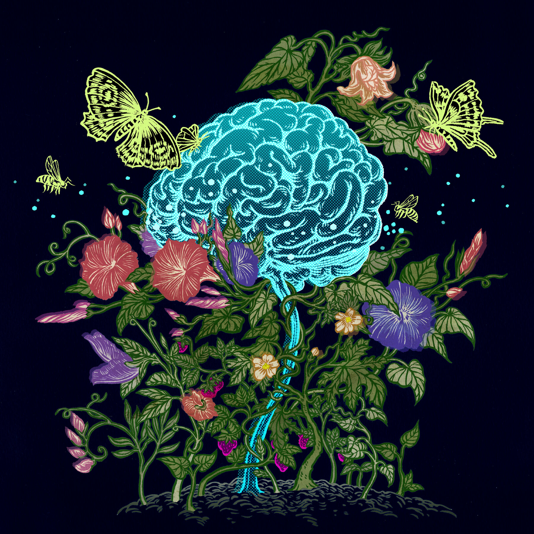 Sex Hormones Are Brain Hormones. What Does This Mean for Treating Brain Diseases?
