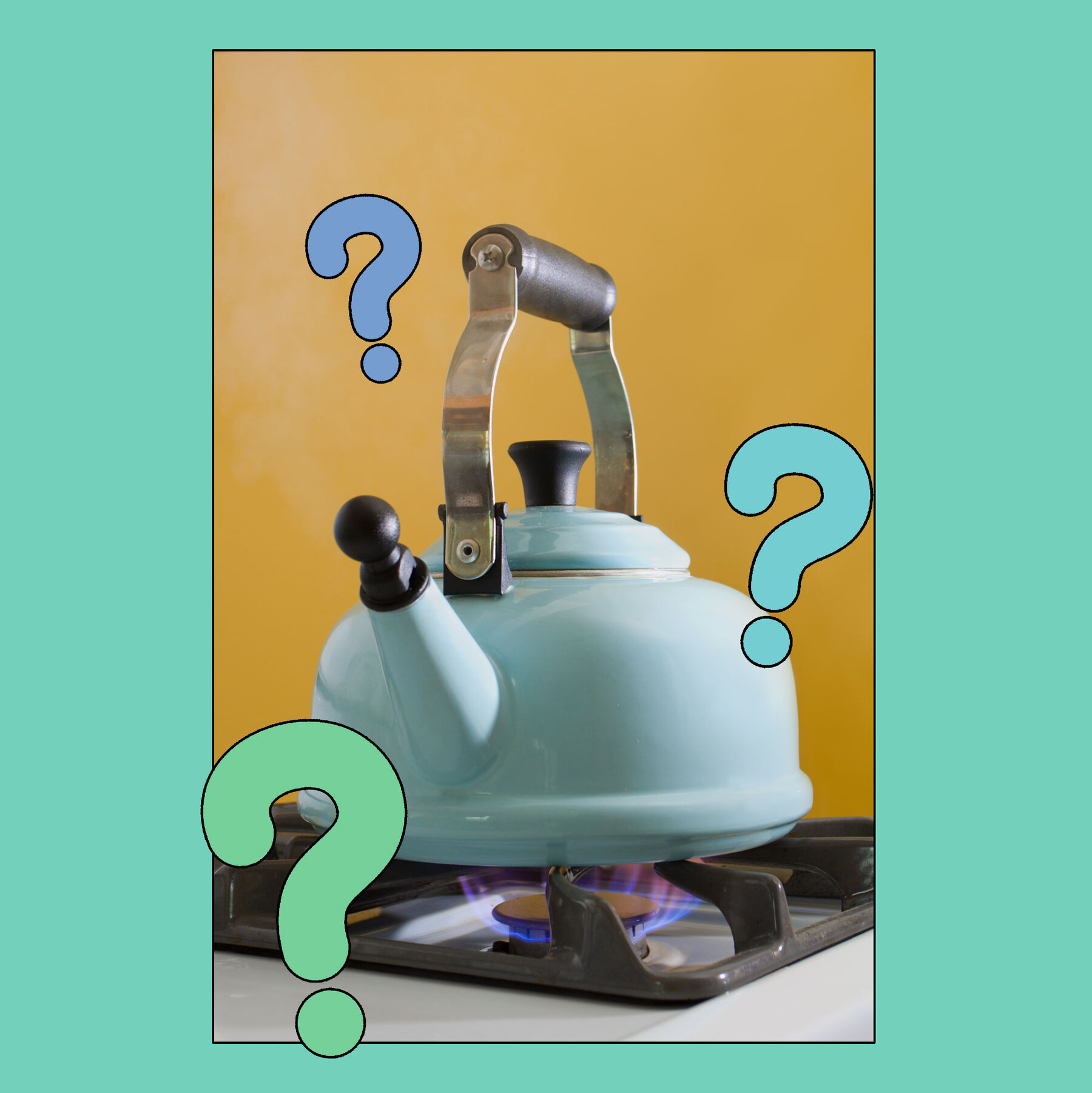 Should I Replace My Gas Appliances With Electric?