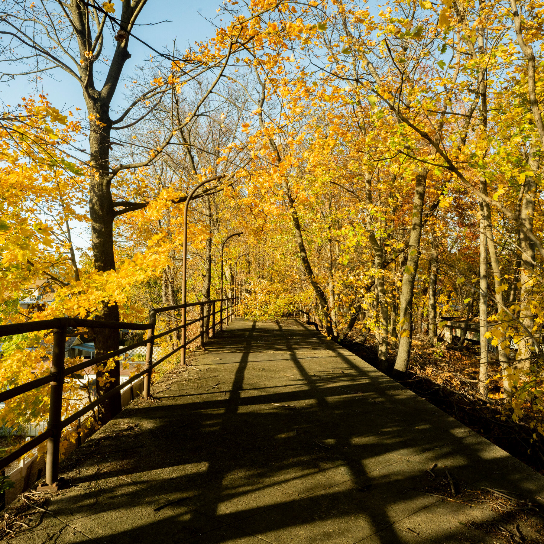 Snapshots of the Seasons in One of New York City’s Last Wild Places