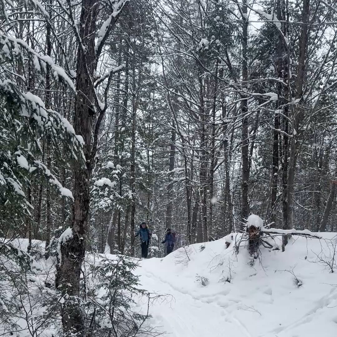 Snowy Trails, Cozy Inns: Skiing Town to Town in Quebec