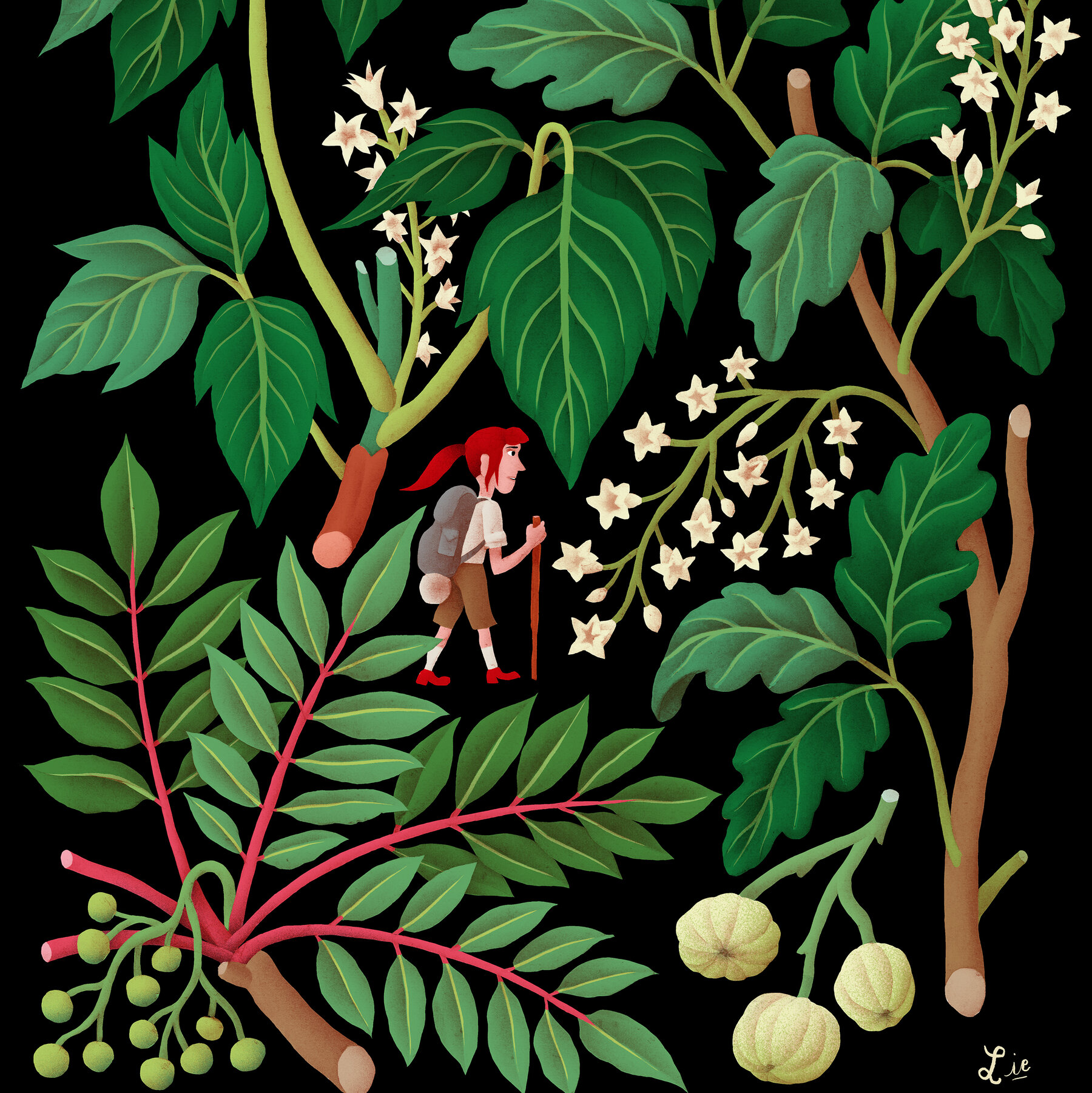 So You Touched Poison Ivy. Now What?