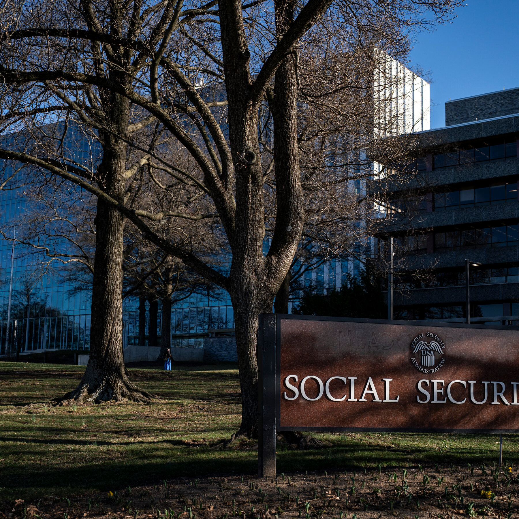 Social Security Leader Warns of Halt to Agency’s Work, Before Backtracking