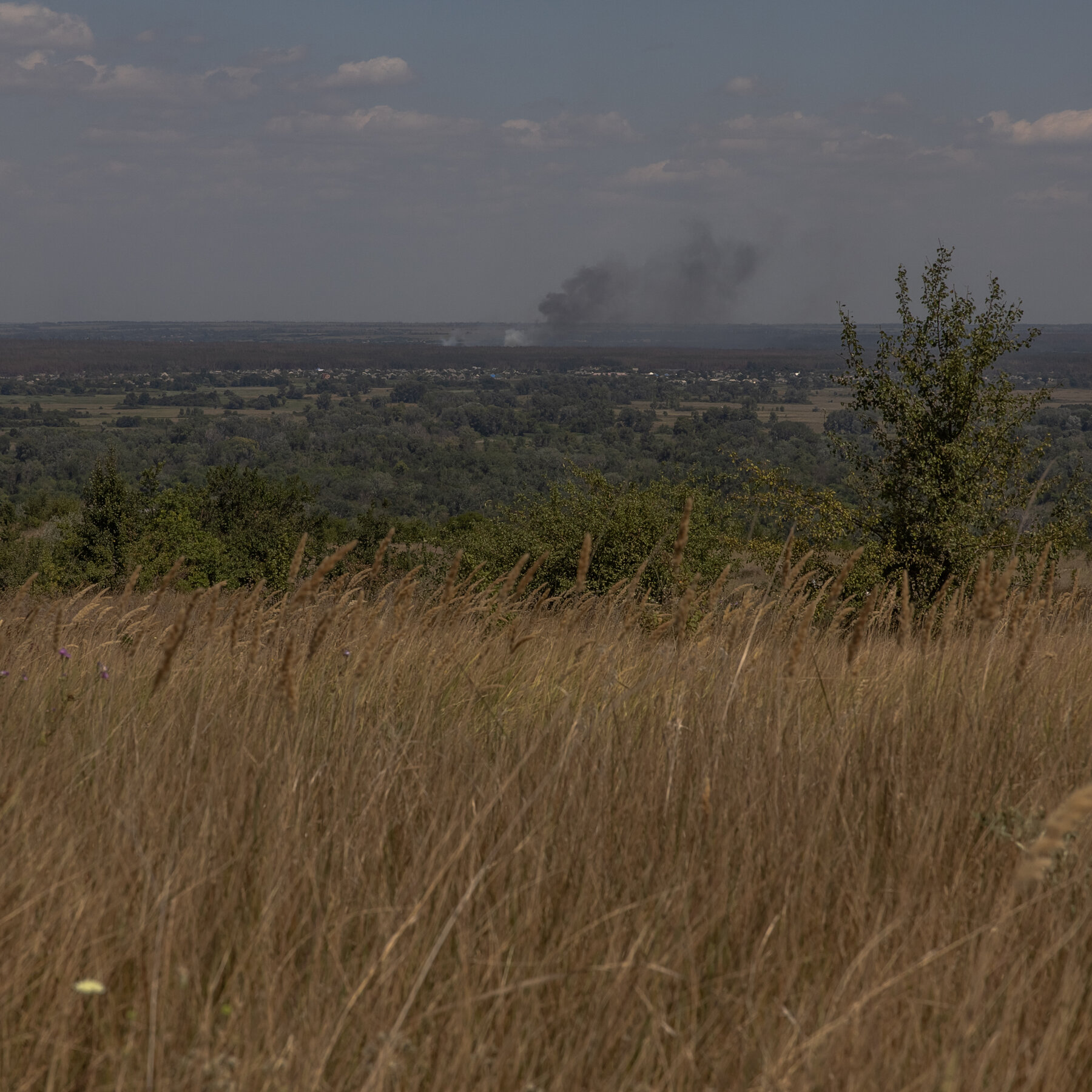 South Africans Were Promised Job, but Ended Up ‘Going to War’ for Russia