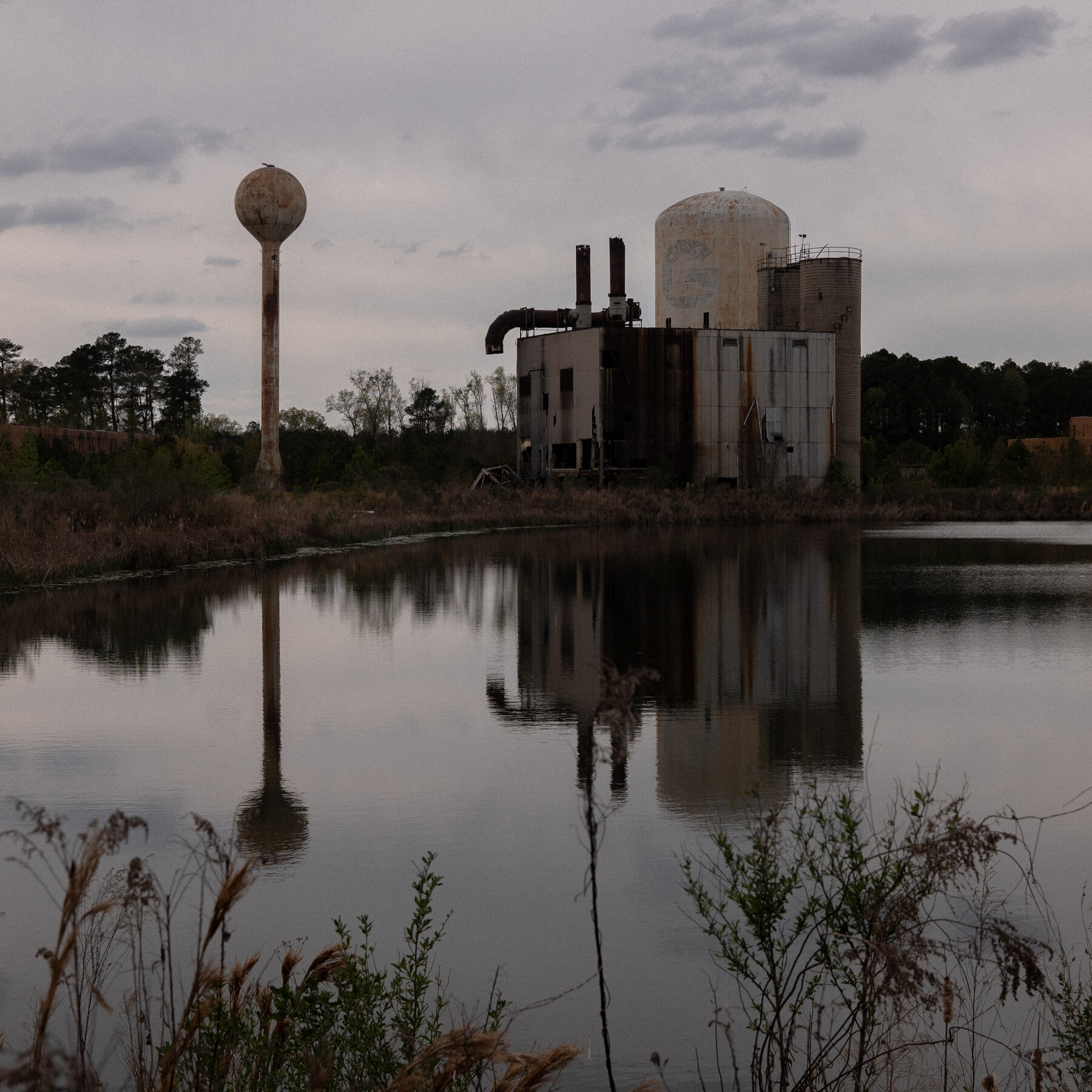 South Carolina Says PFAS-Contaminated Farmland Should Be Superfund Site