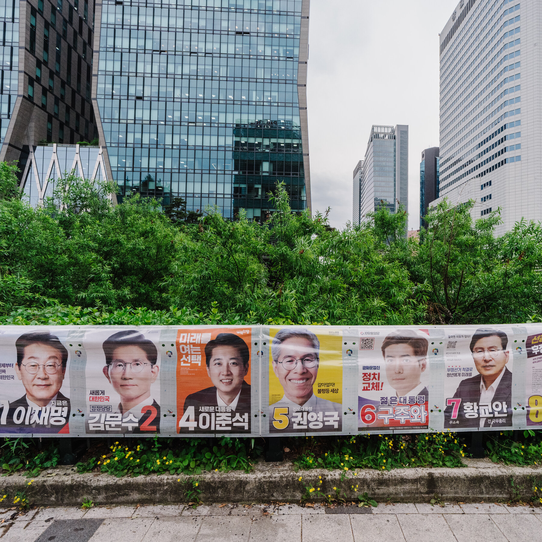 South Koreans Begin Voting to Elect a New President