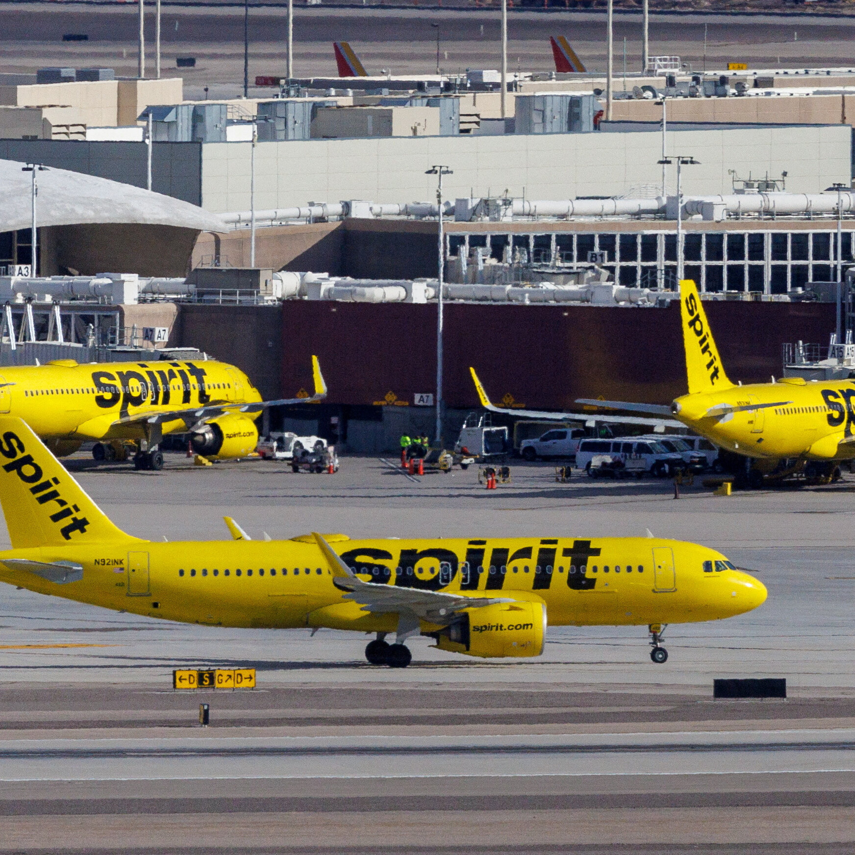 Spirit to Put One-Third of Flight Attendants on Leave