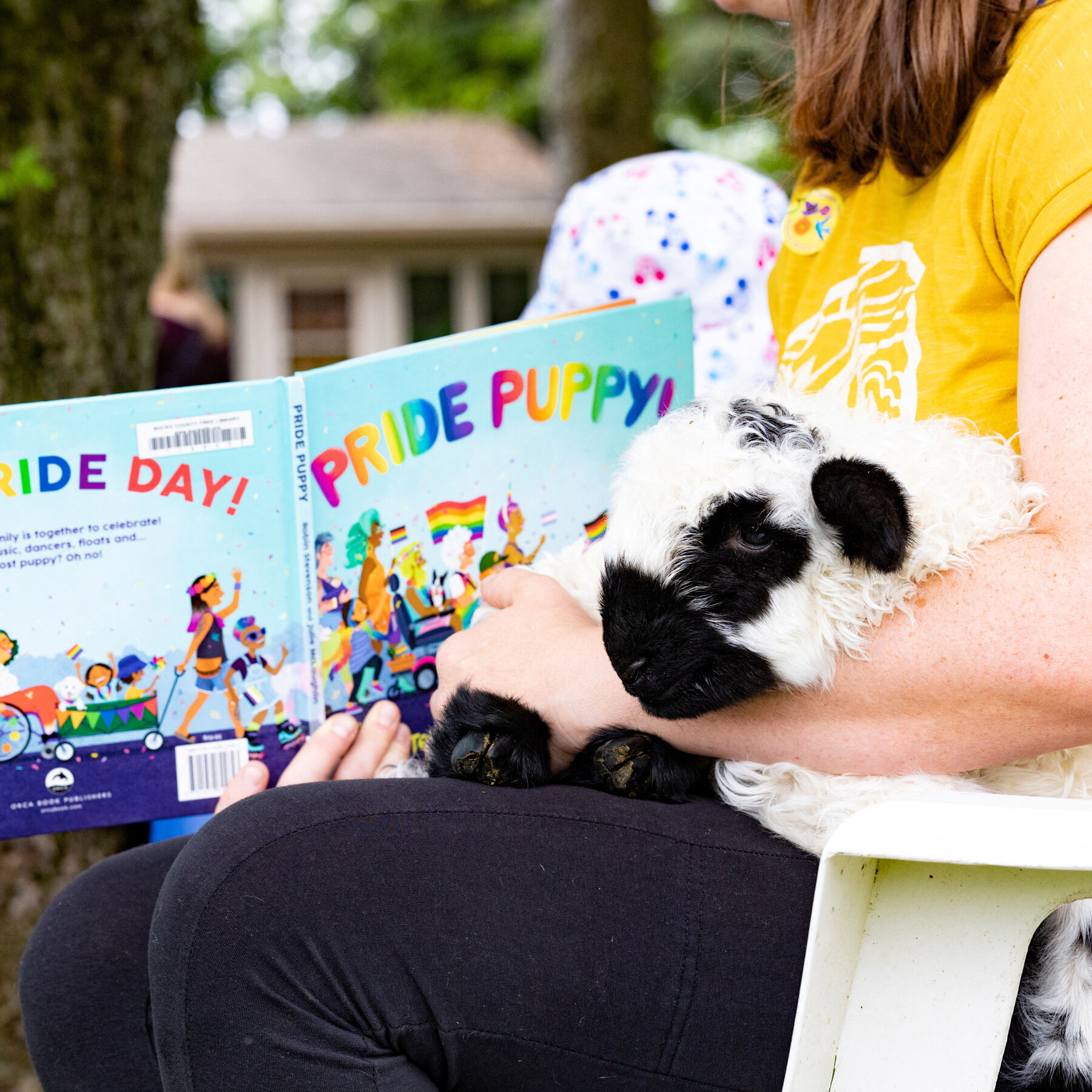 Supreme Court to Weigh Use of L.G.B.T.Q. Children’s Books in Schools