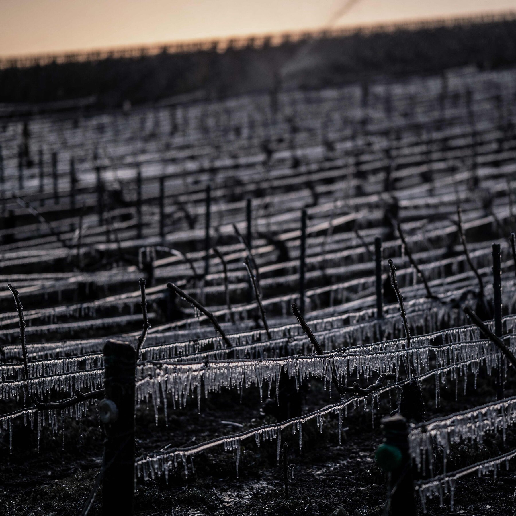 Sweating to Shivering: Study Finds Rapid Swings in Temperature Have Increased