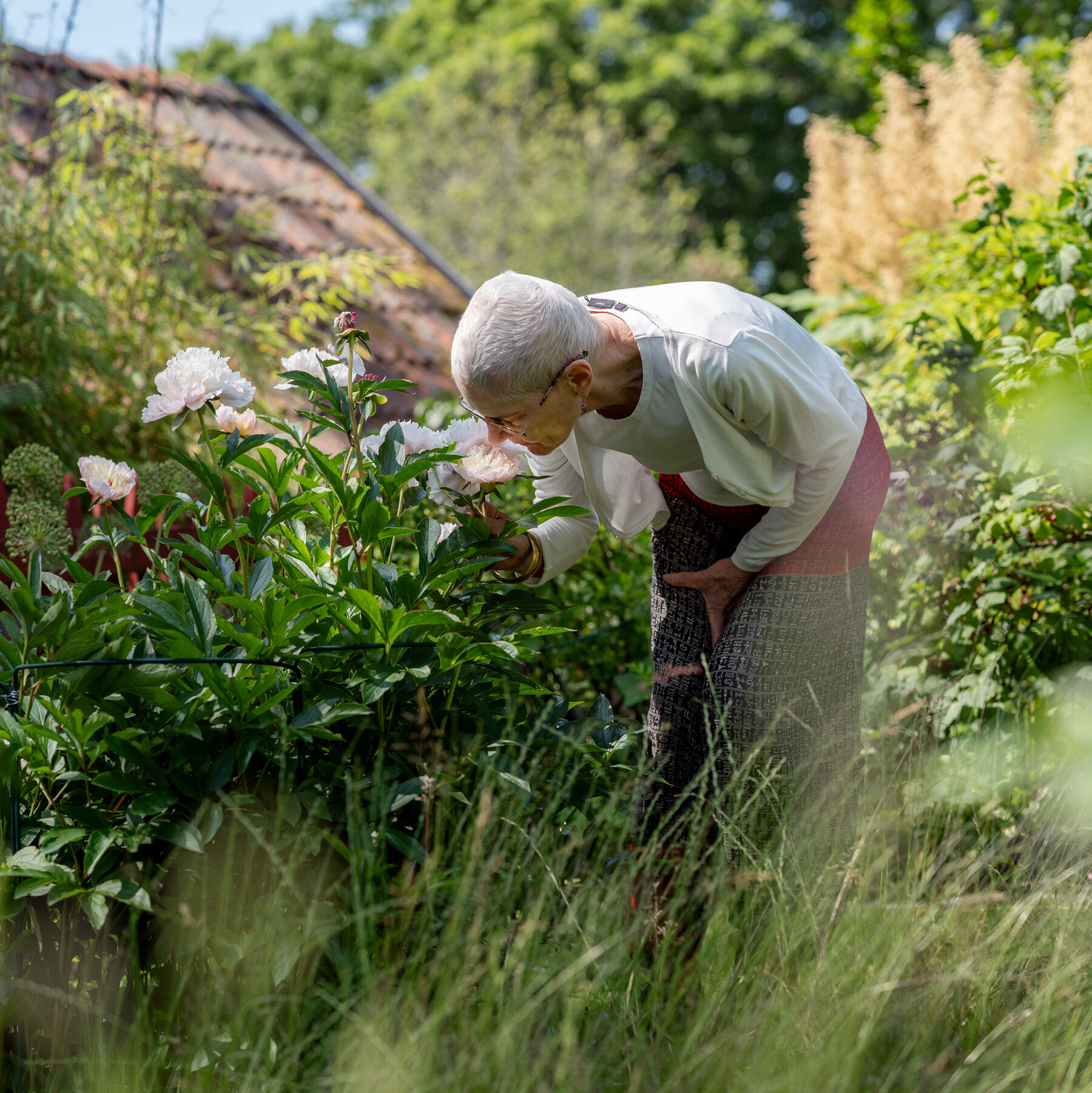 Sweden’s Secret to Well-Being? Tiny Urban Gardens.