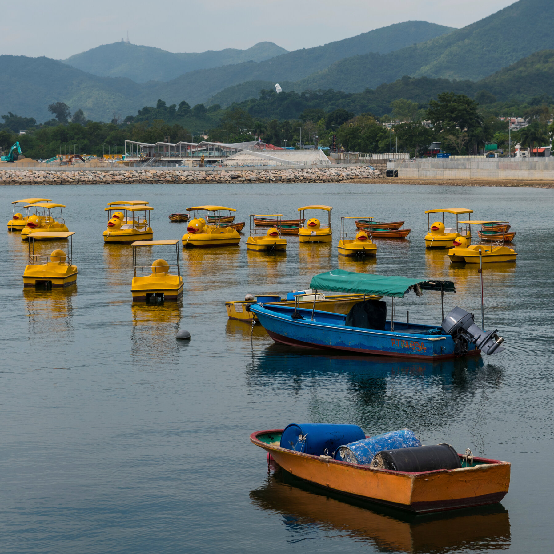 Tai Po is a crucial link between Hong Kong and mainland China.