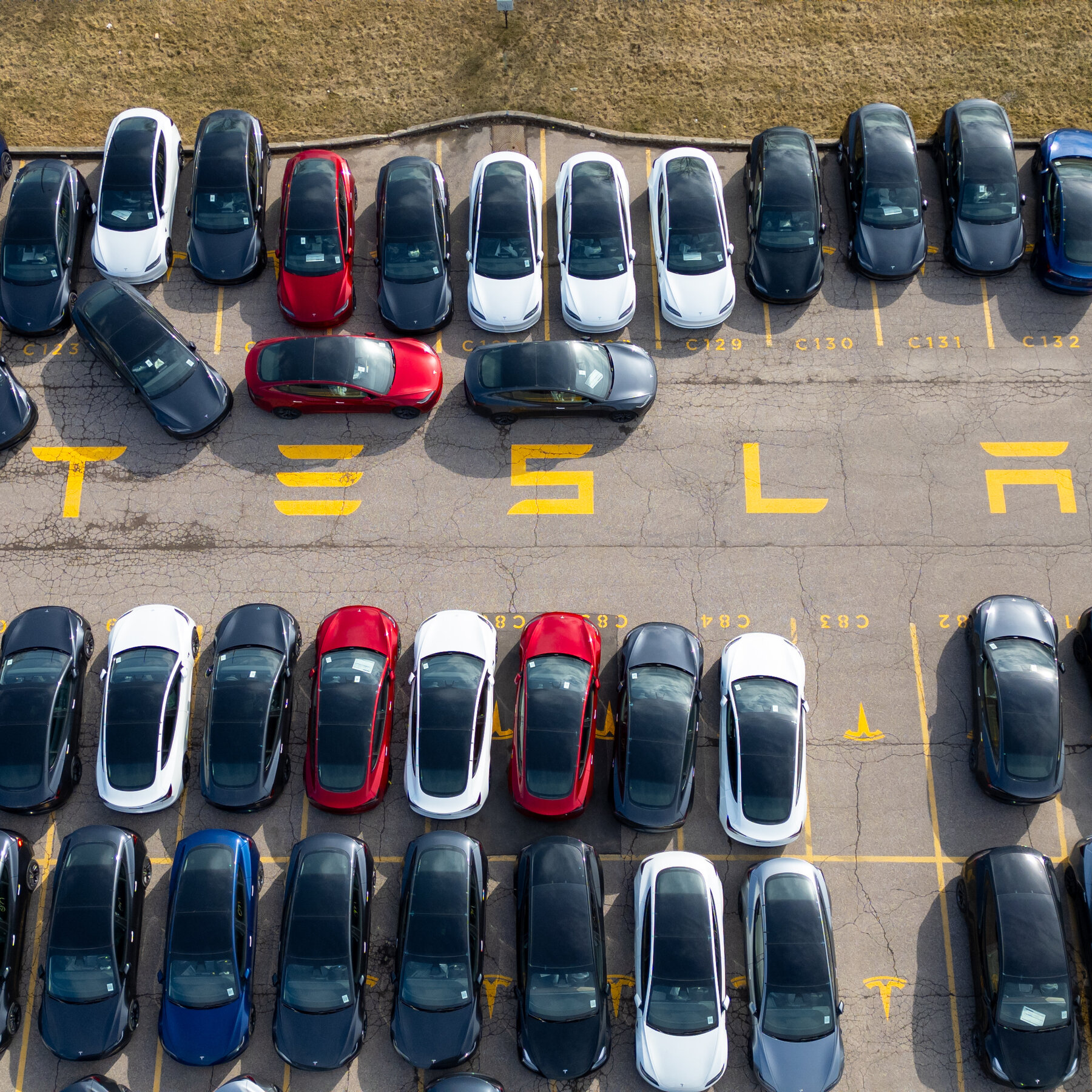 Tesla Dealers Claimed They Sold 8,653 Cars in 3 Days in Canada. Did They?