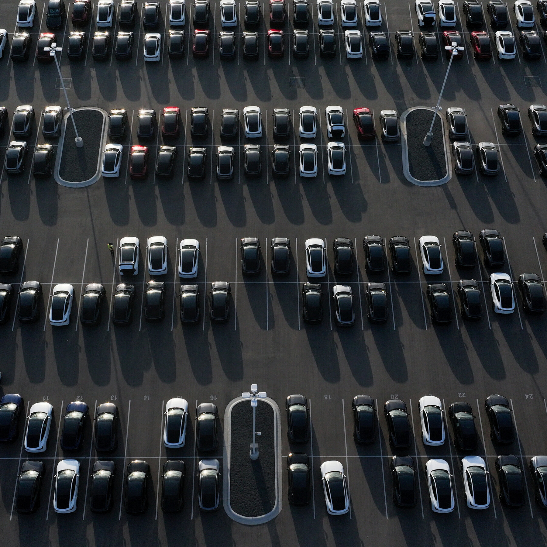 Tesla Sets Date for Shareholders Meeting After Protests