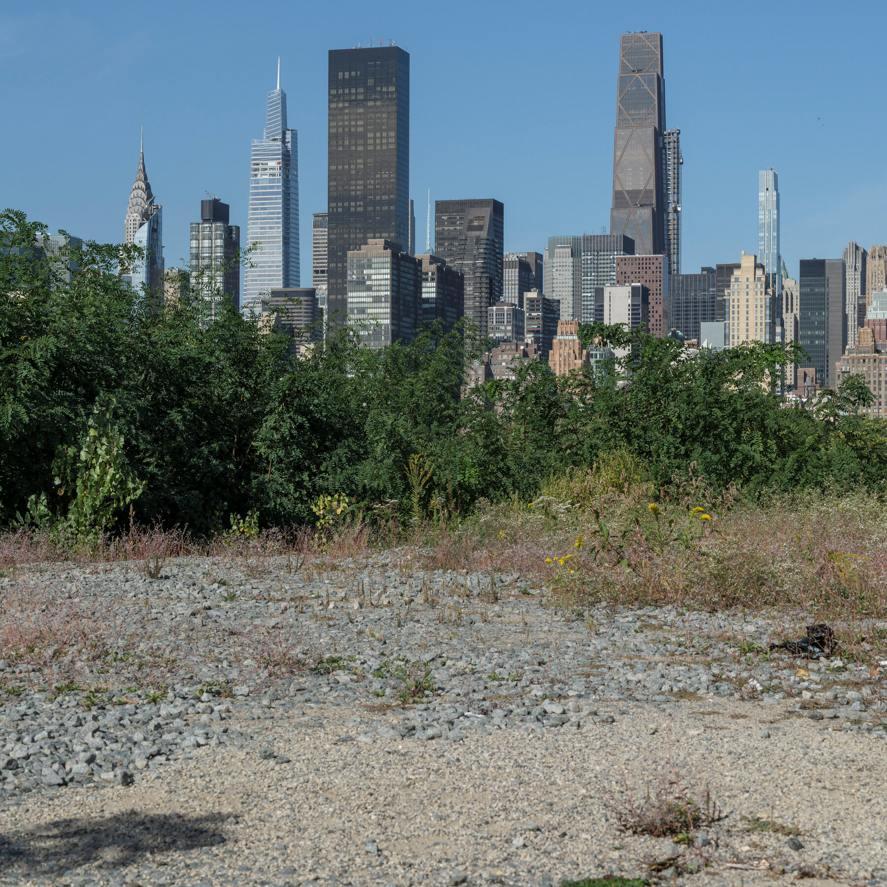 The affordable housing shortage is top of mind for New York’s voters.