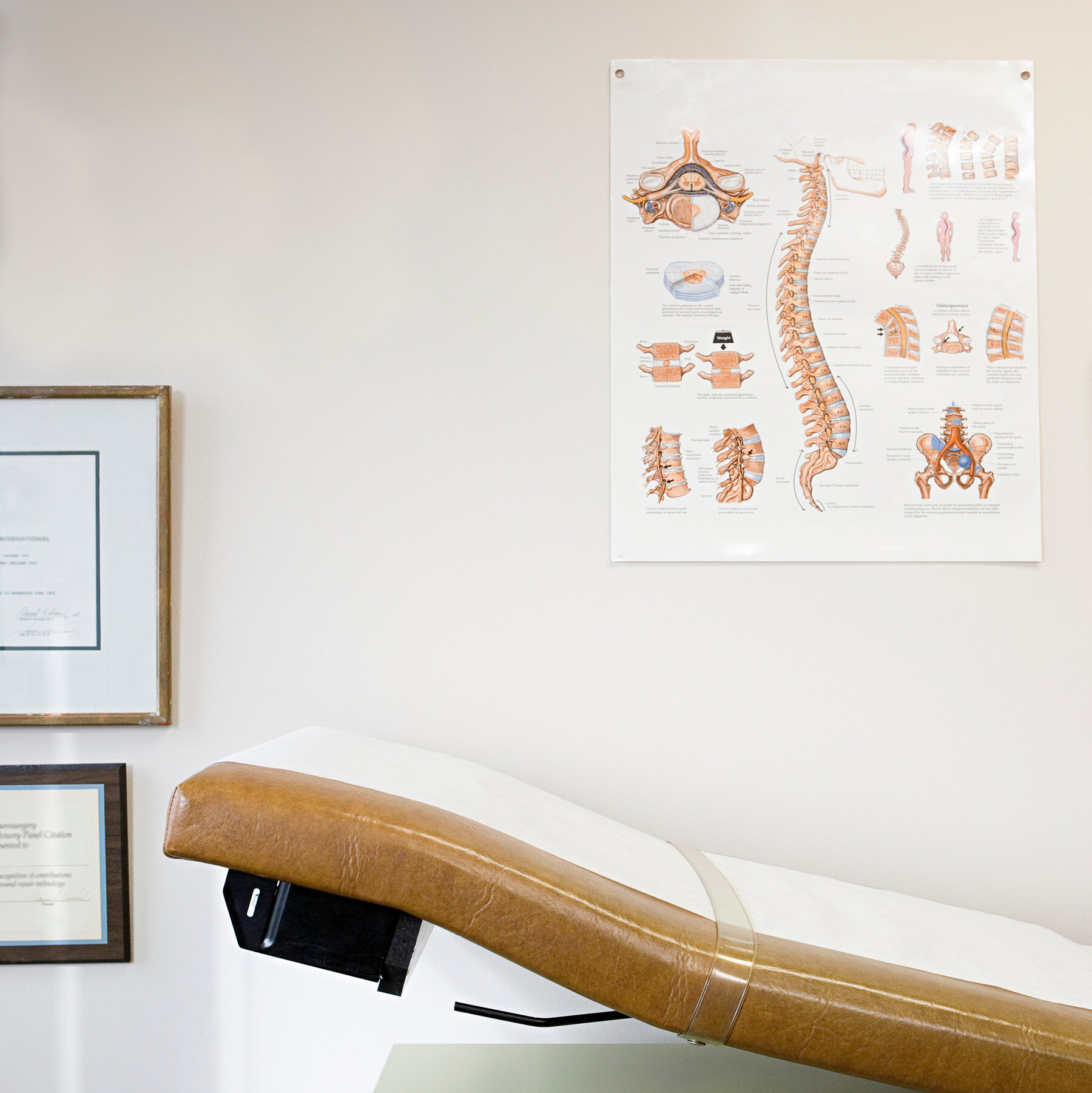 The Debilitating Toll of Back Pain