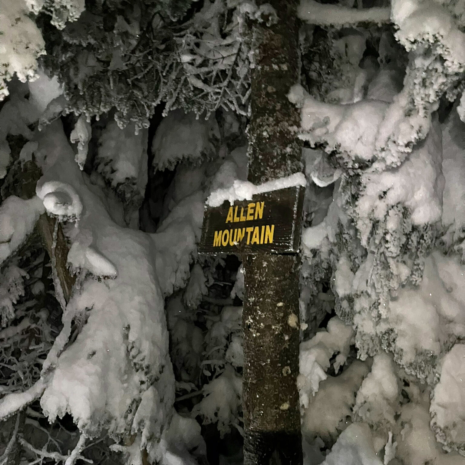 The Hiker Who Couldn’t Be Found