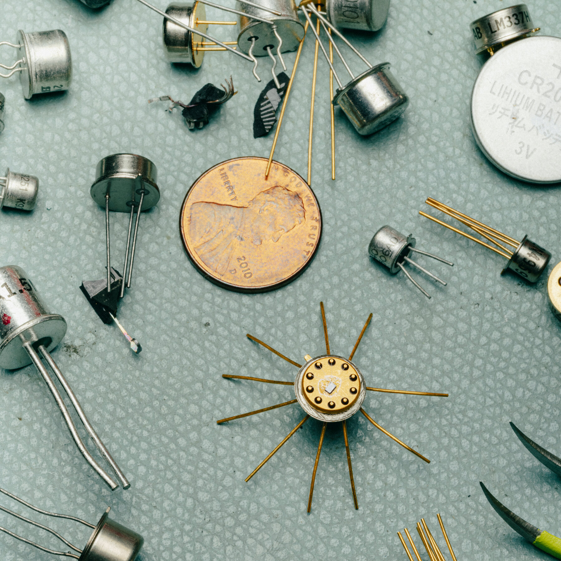The Hunt for a Lost Microscopic Art World