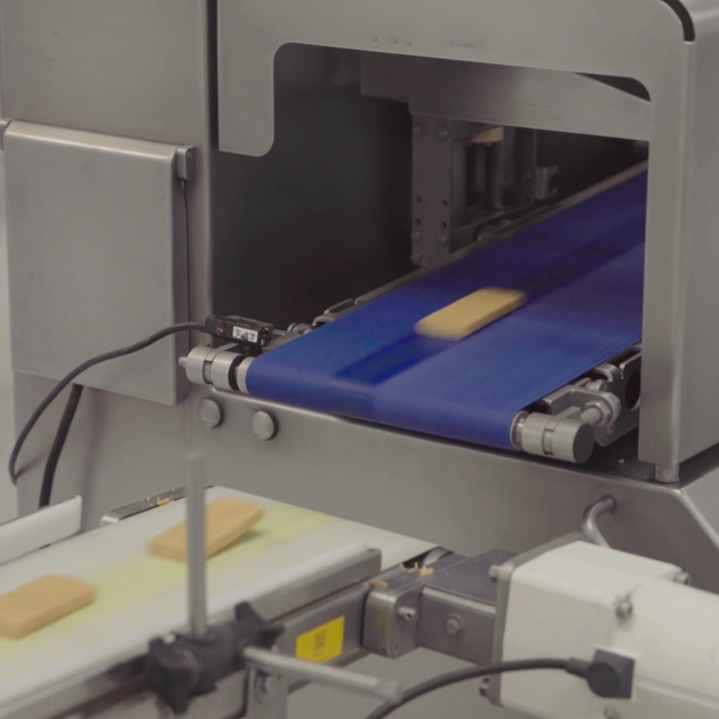 The Little Food Lab Fueling the Big Protein Boom