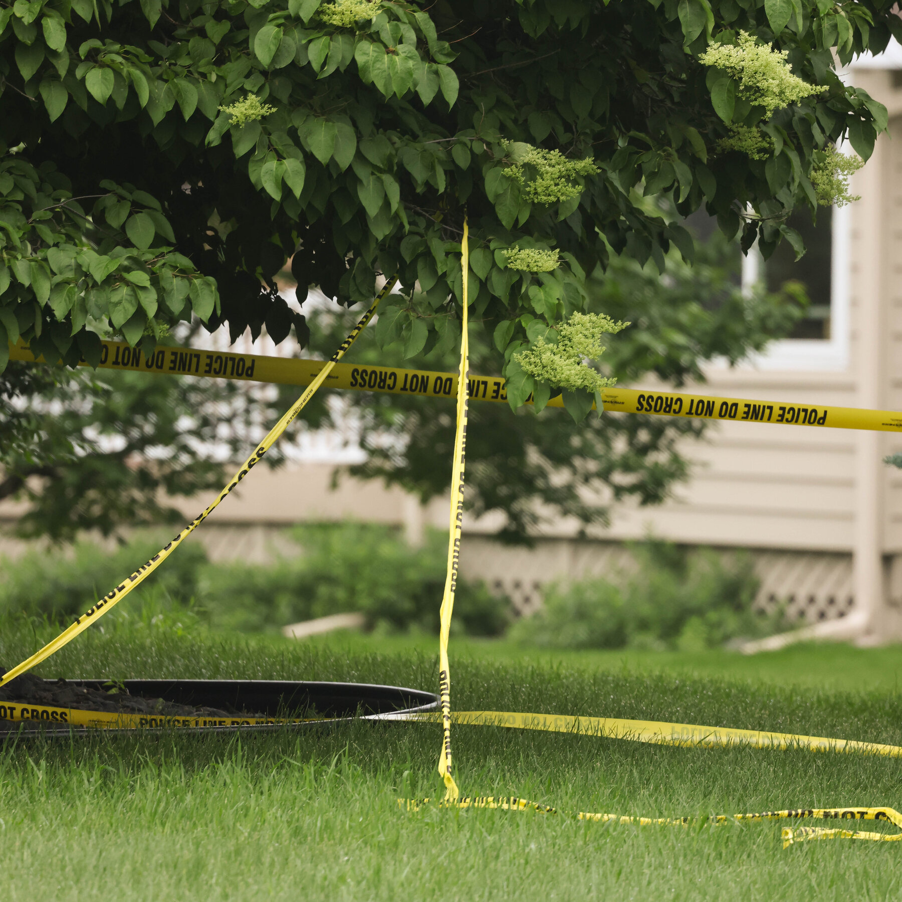 The Minnesota shootings are the latest in a string of targeted political attacks.