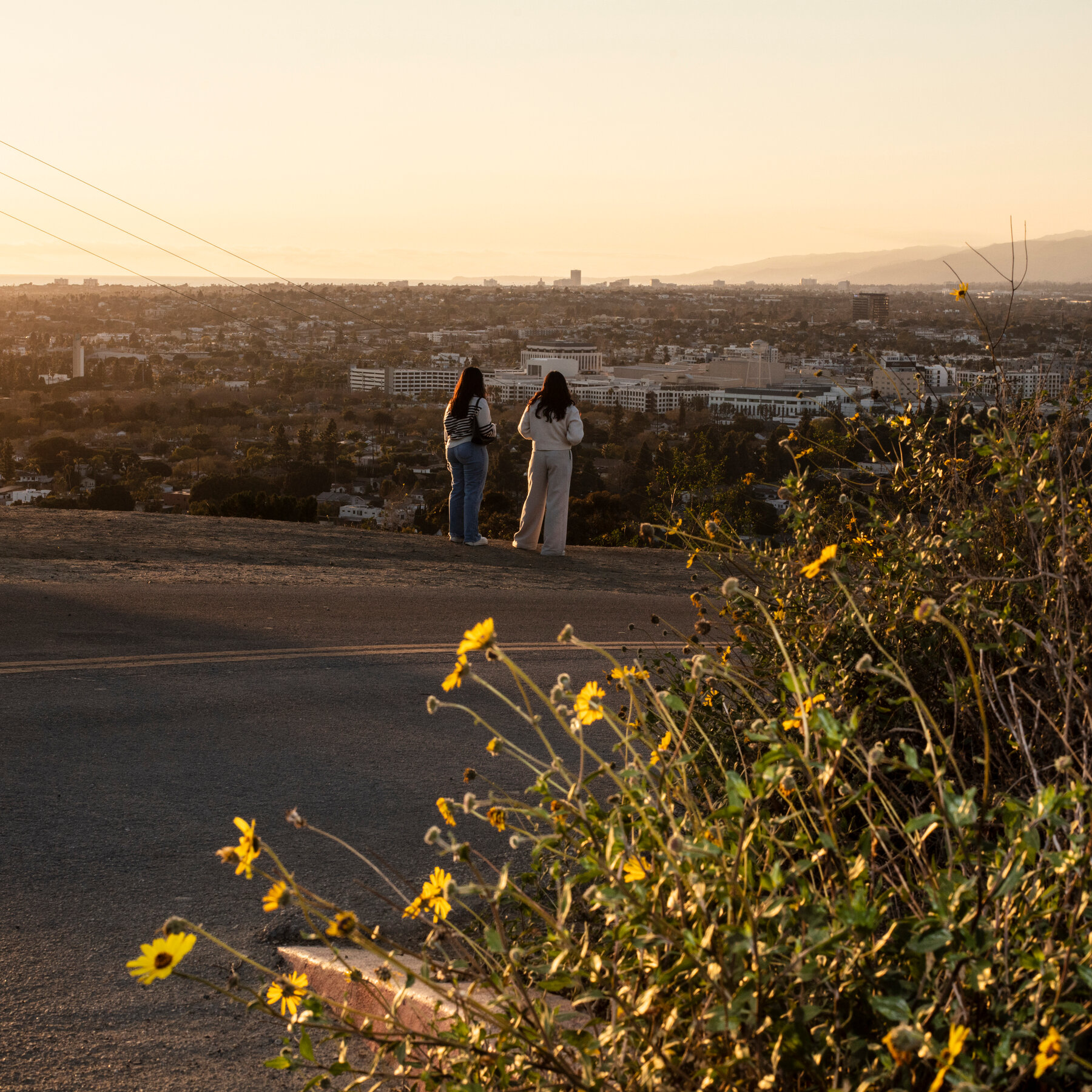 The Push and Pull of Los Angeles: Beauty and Danger