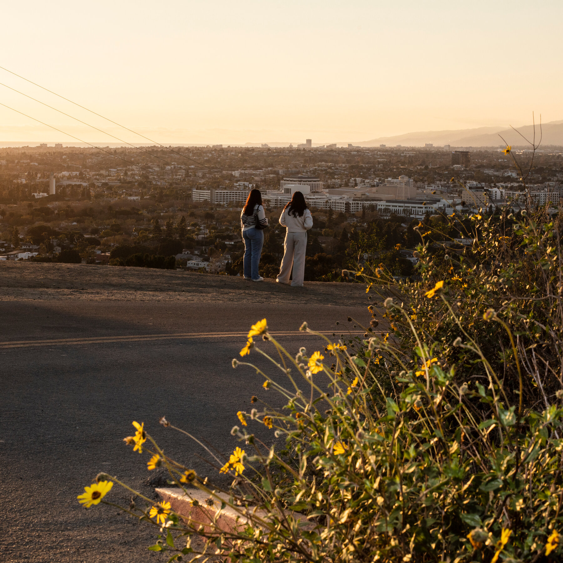 The Push and Pull of Los Angeles: Beauty and Danger