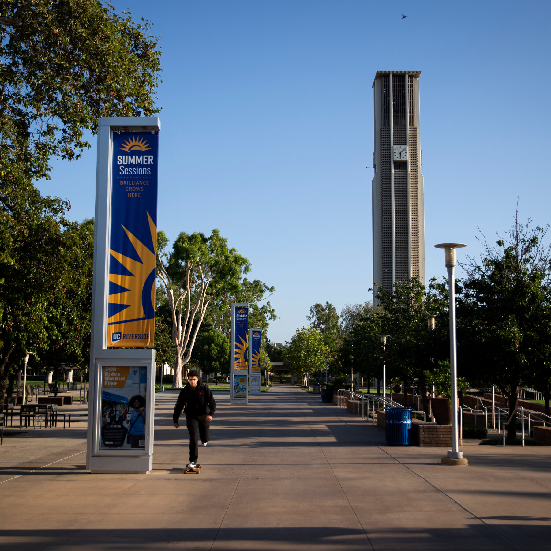The University of California Will Stop Requiring Diversity Statements in Hiring