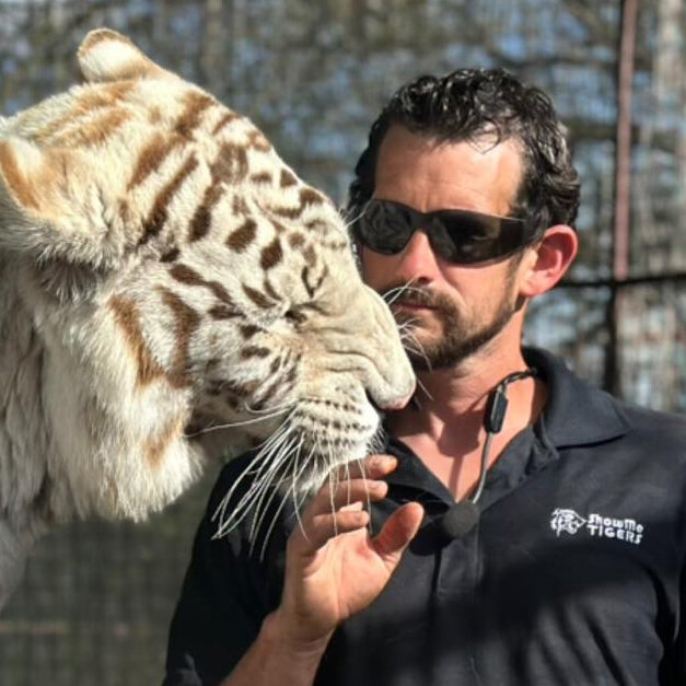 Tiger Handler Linked to Joe Exotic Is Fatally Mauled by Tiger