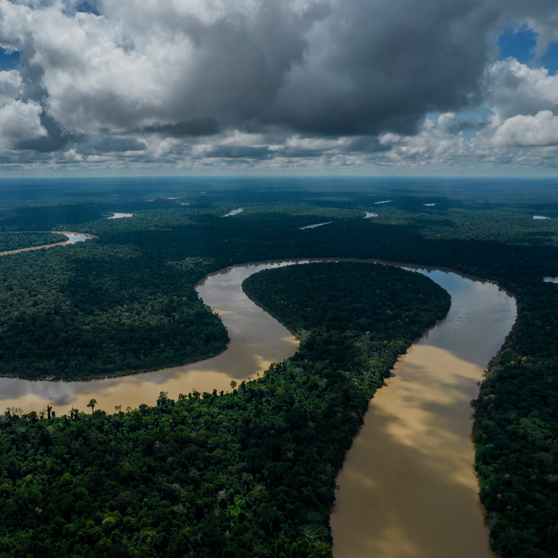 To Meet Pledges to Save Forests Spending Must Triple, U.N. Report Says