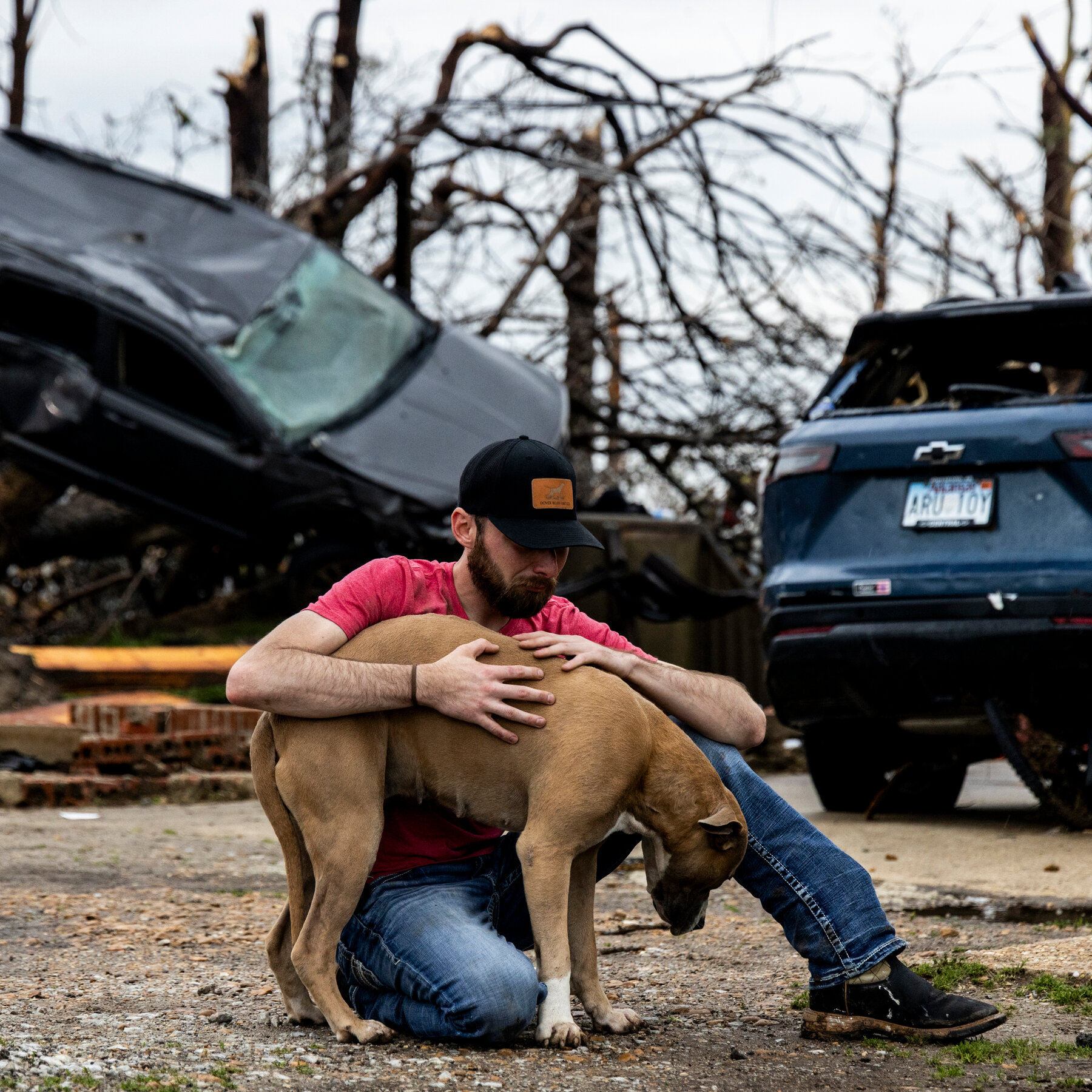 Tornadoes Sweep Across the South and Midwest, Killing at Least 7