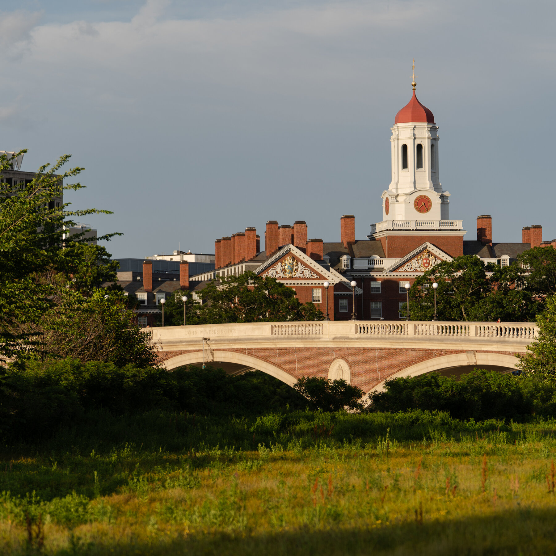 Trump Administration and Harvard Face Crucial Court Test