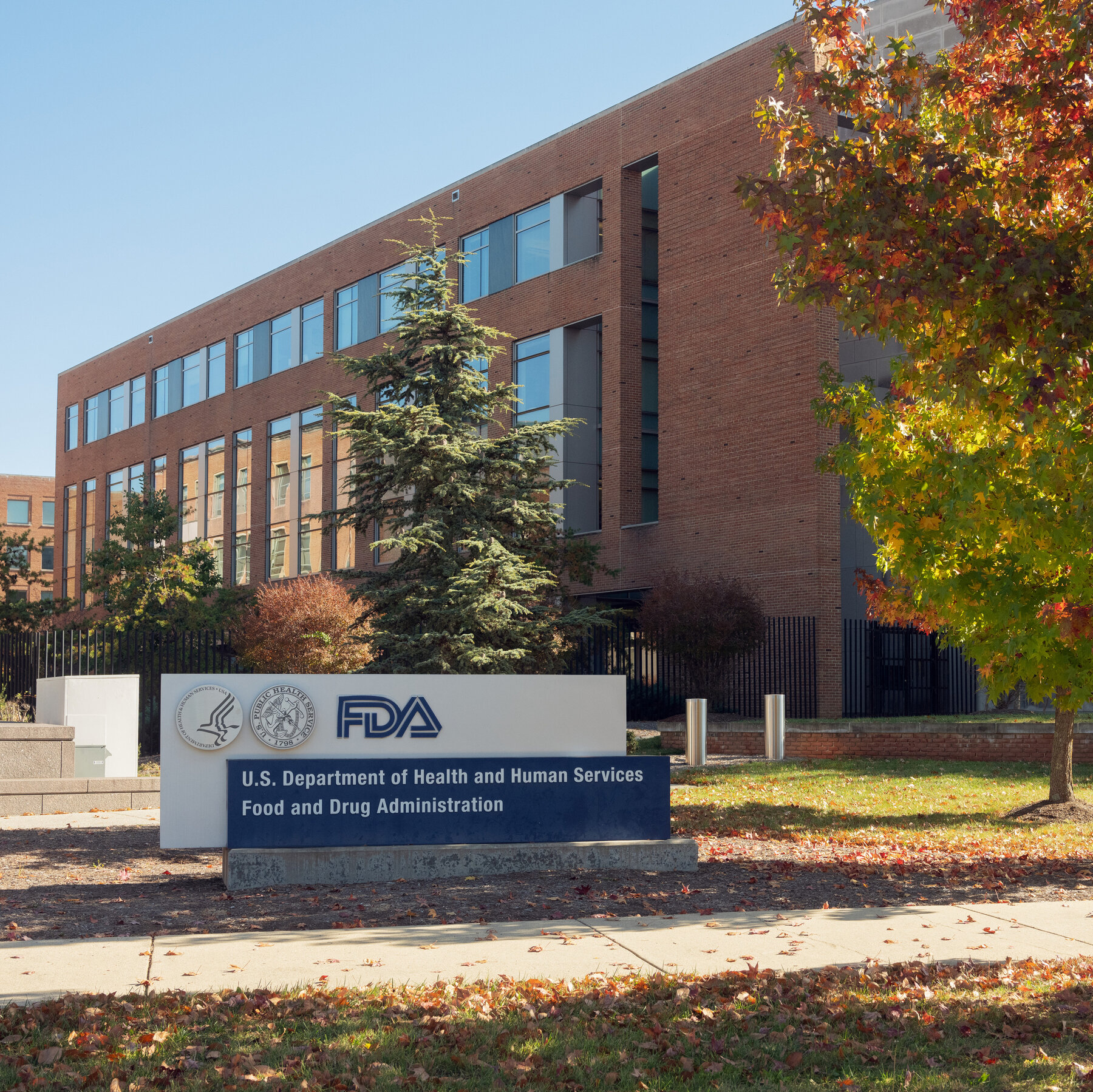 Trump Administration Begins Layoffs at CDC, FDA and Other Health Agencies