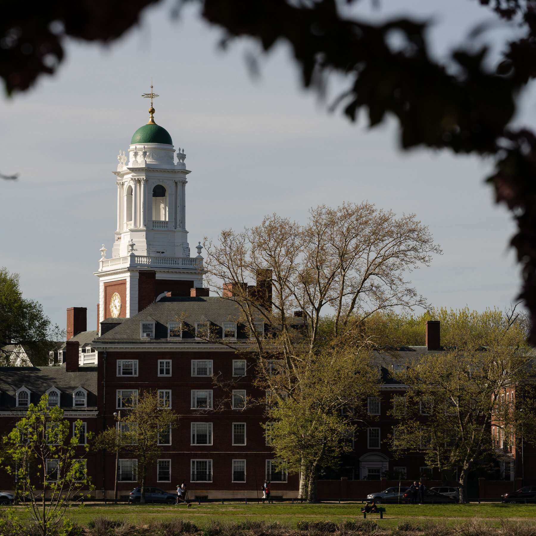 Trump Administration Disqualifies Harvard From Future Research Grants