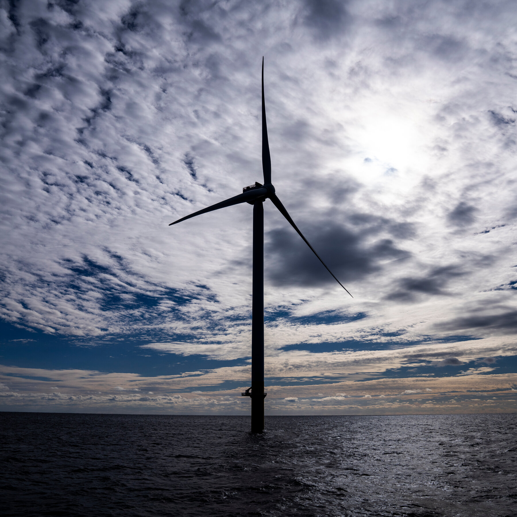 Trump Administration Halts Building of Giant Wind Farm Off N.Y. Coast