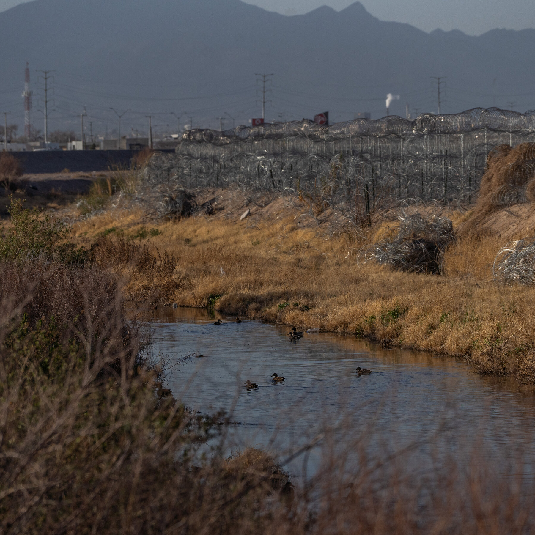 Trump Administration Is Frustrated Over Pace of Deportations