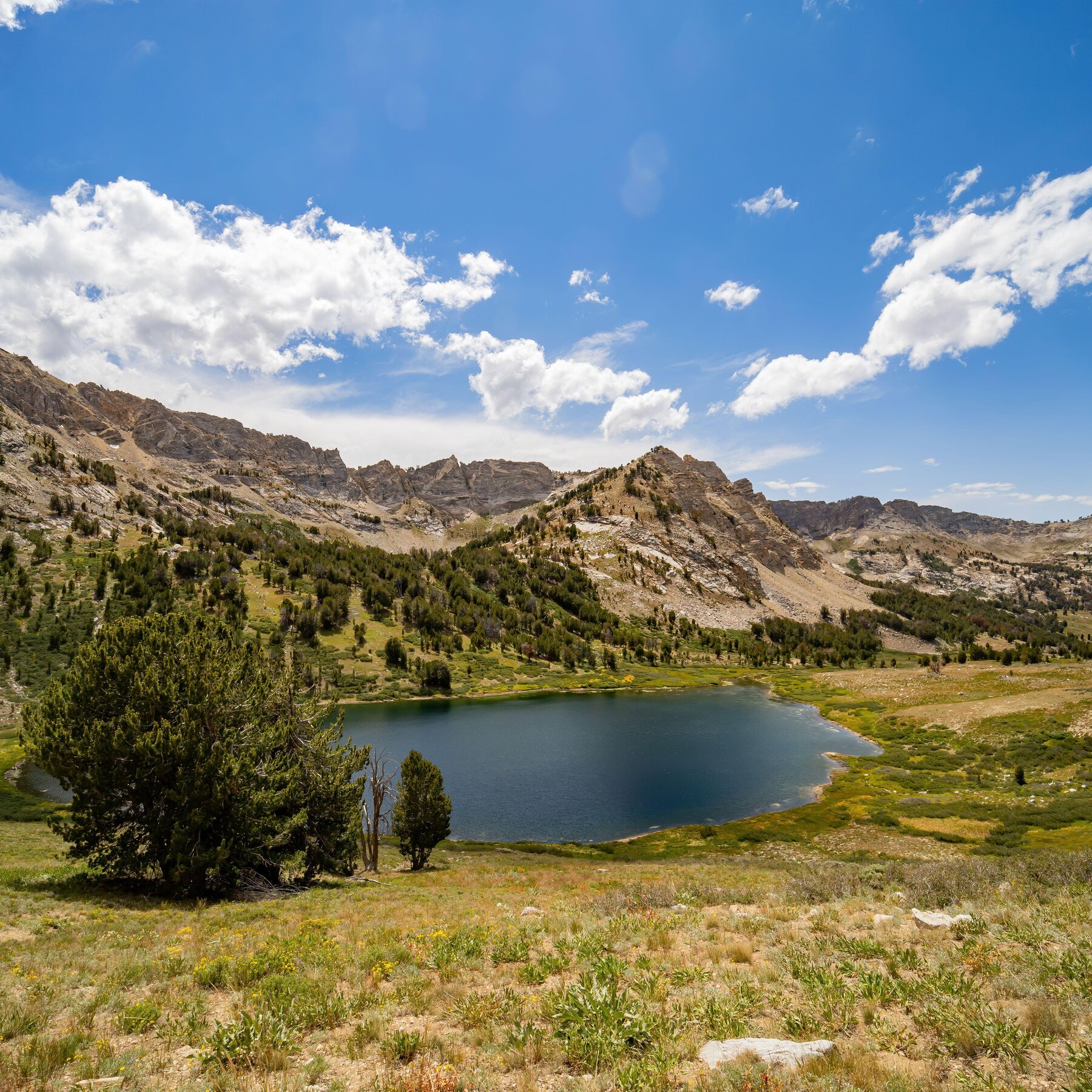 Trump Administration Lifts Mining and Drilling Restrictions in Nevada and New Mexico