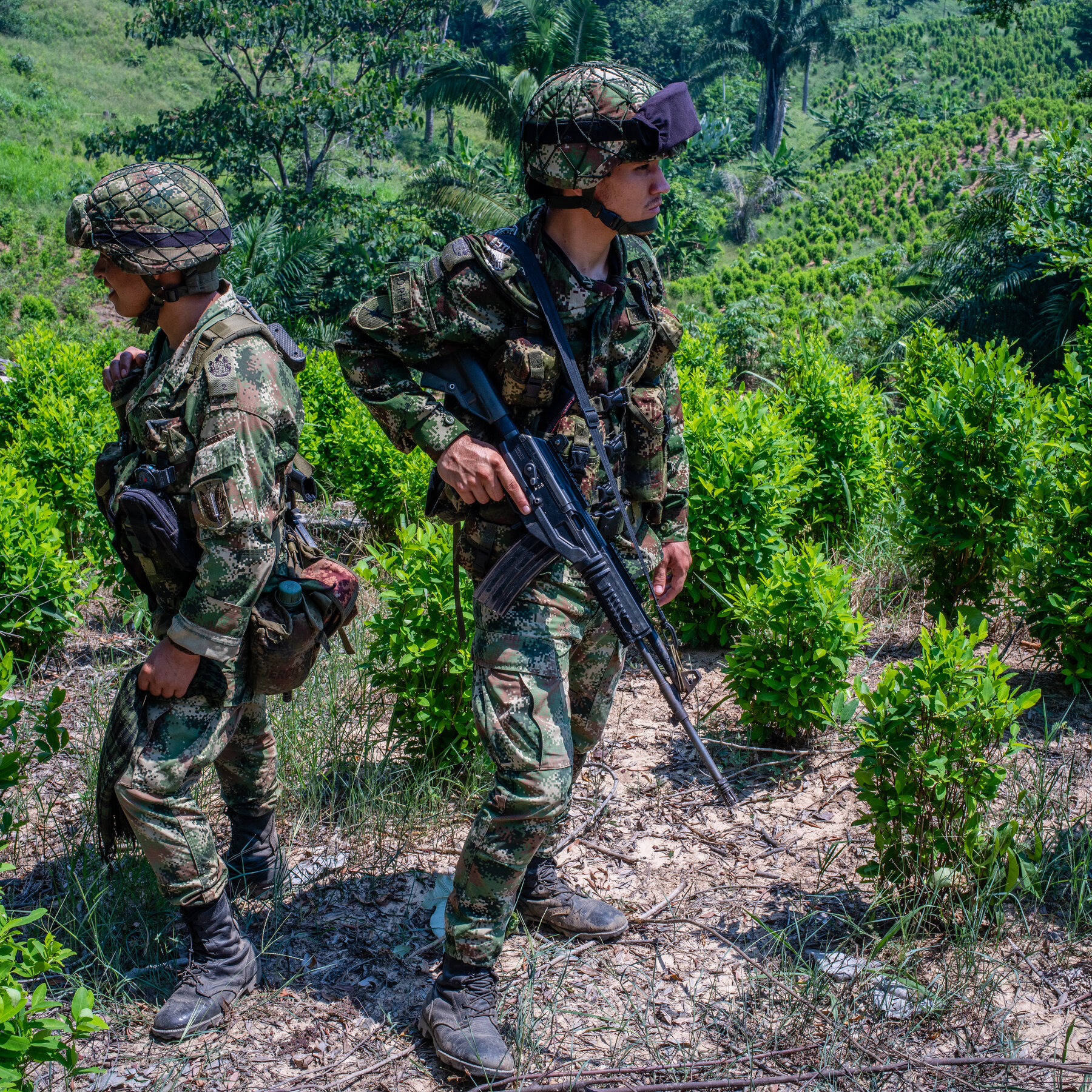 Trump Administration Questions Colombia’s Anti-Drug Efforts and Weighs Cutting Aid