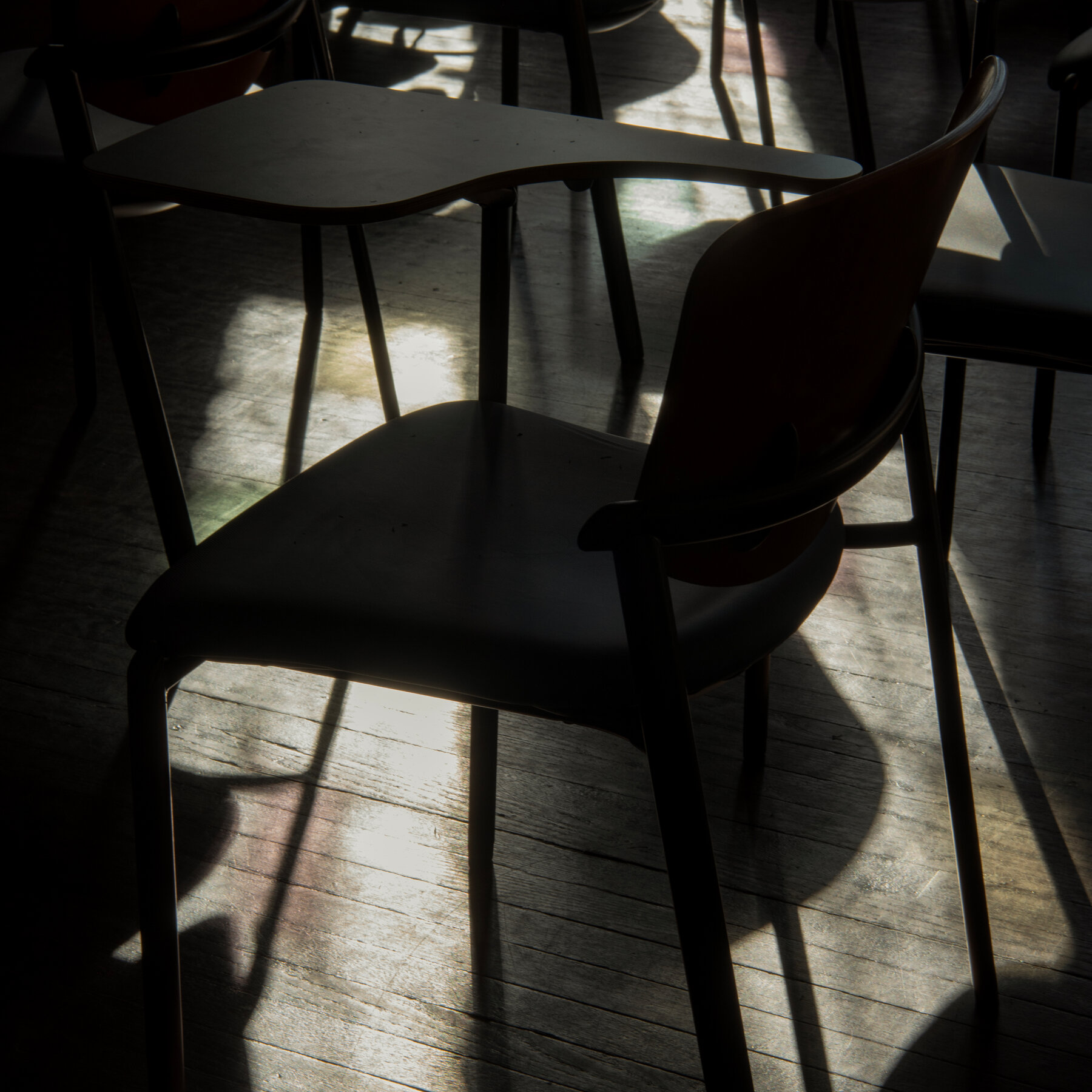 Trump Made the Citizenship Test Harder. What if Every American Had to Take It?