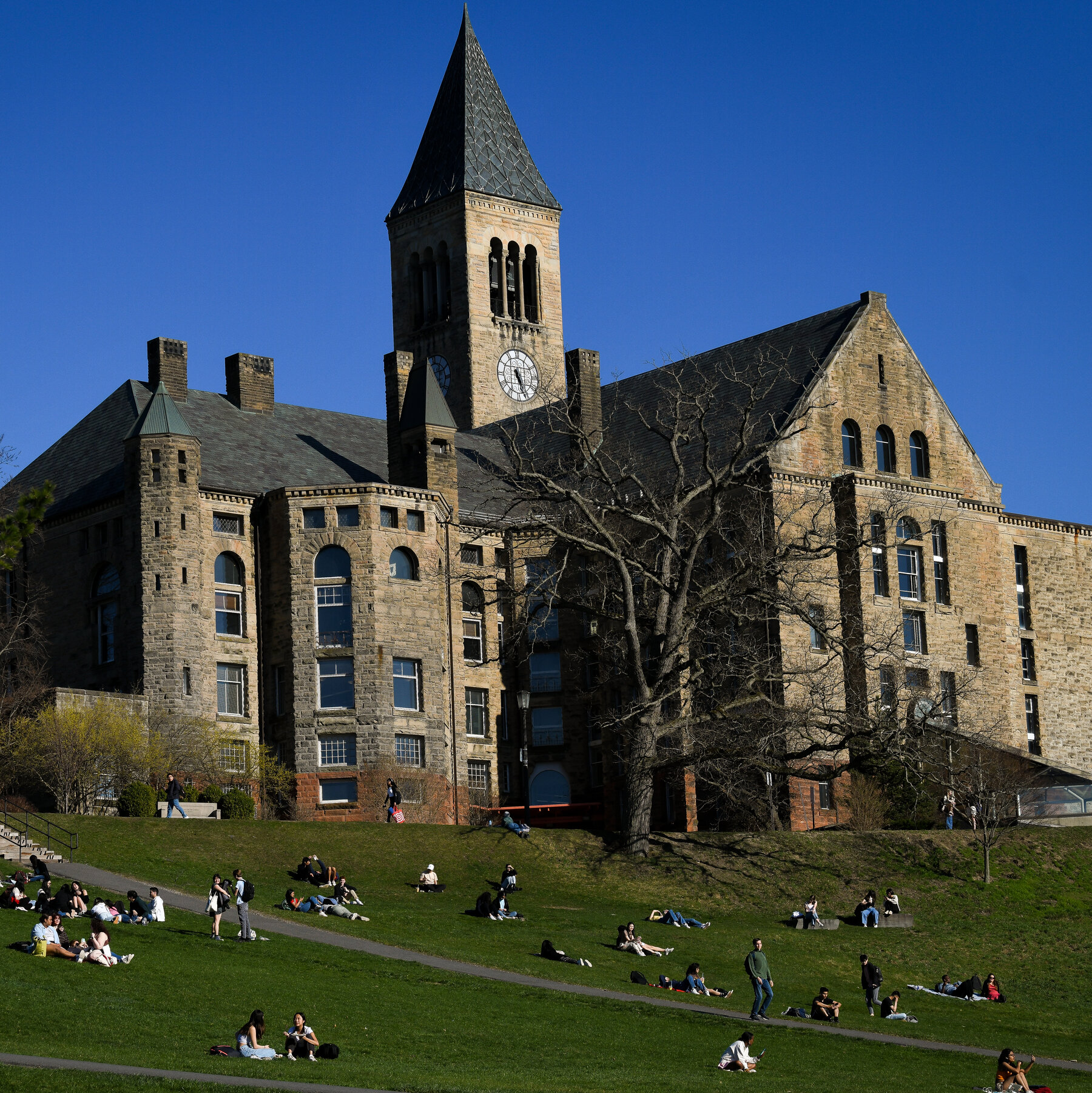 Trump Officials Freeze $1 Billion for Cornell and $790 Million for Northwestern