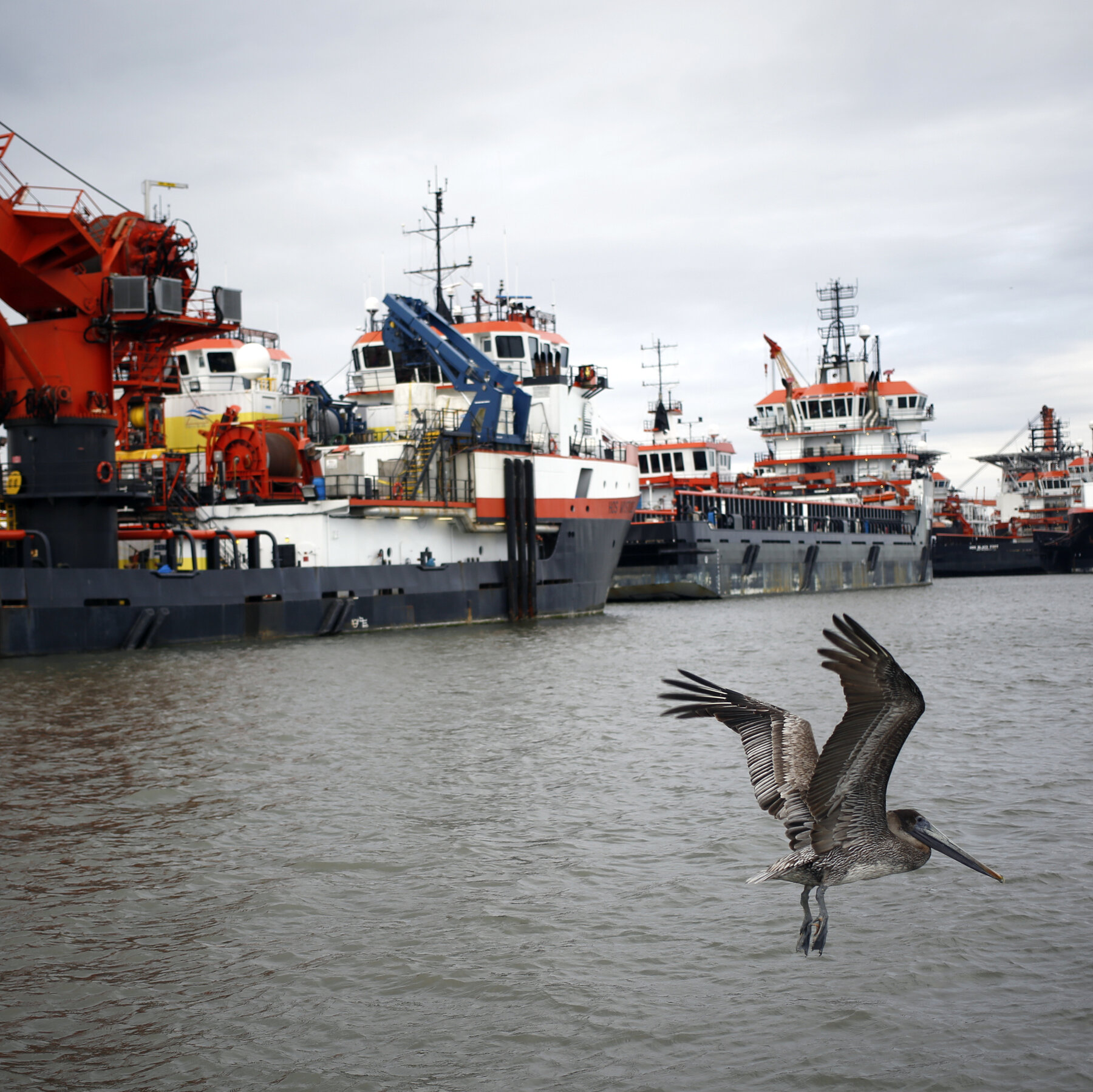 Trump Plans to Open More Than a Billion Acres of U.S. Waters to Drilling